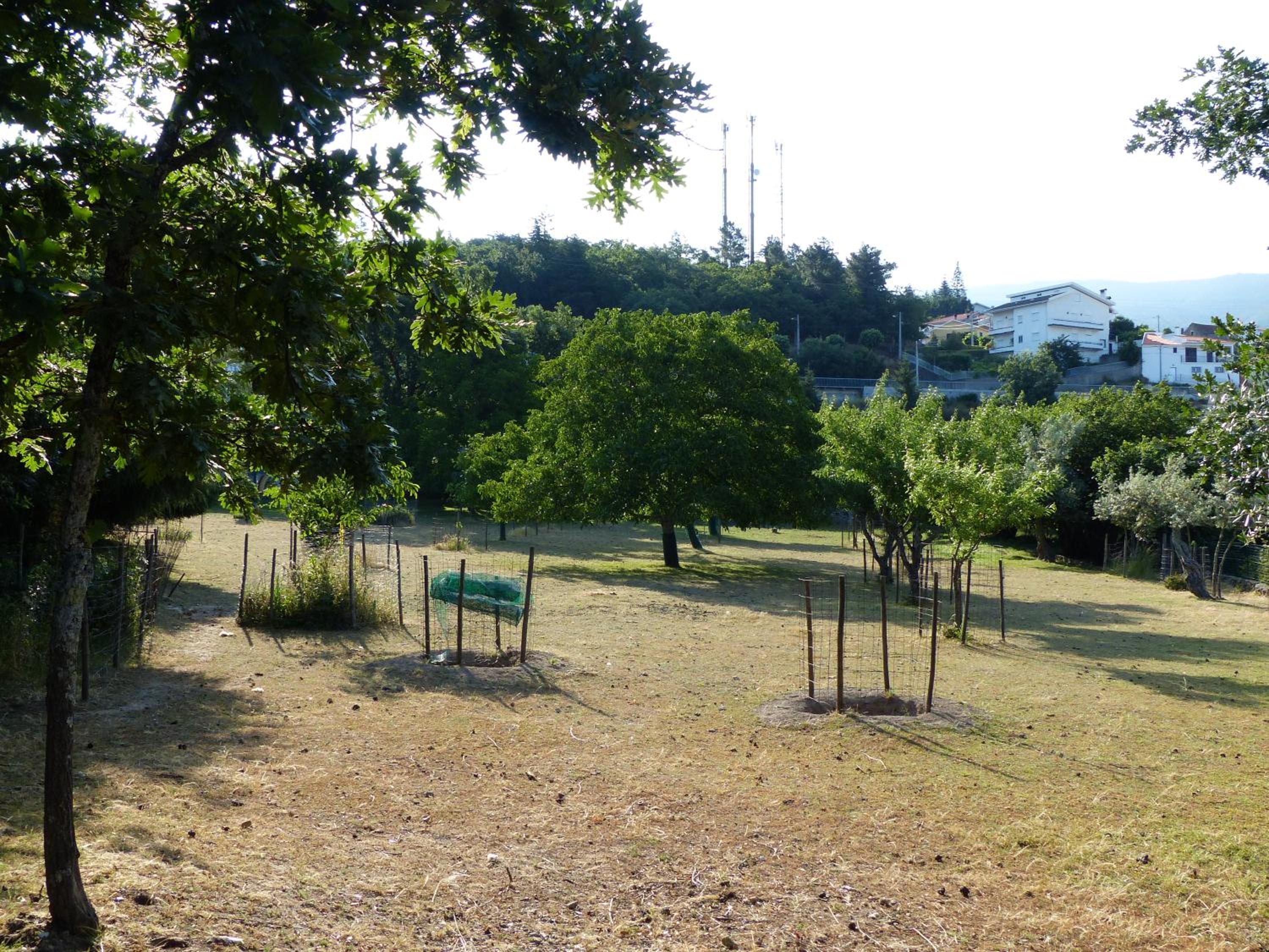 Casas do Toural