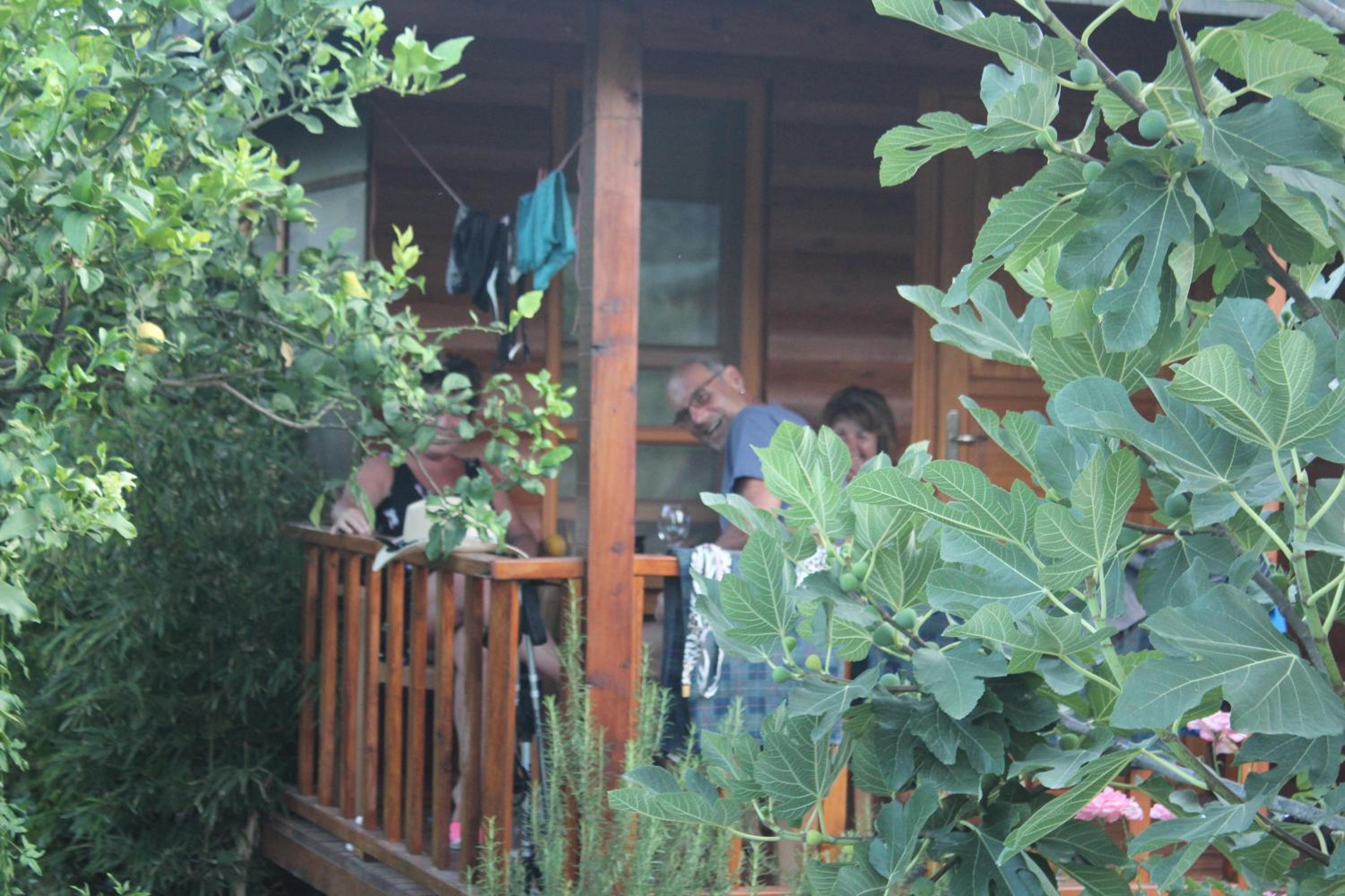 Photo 28