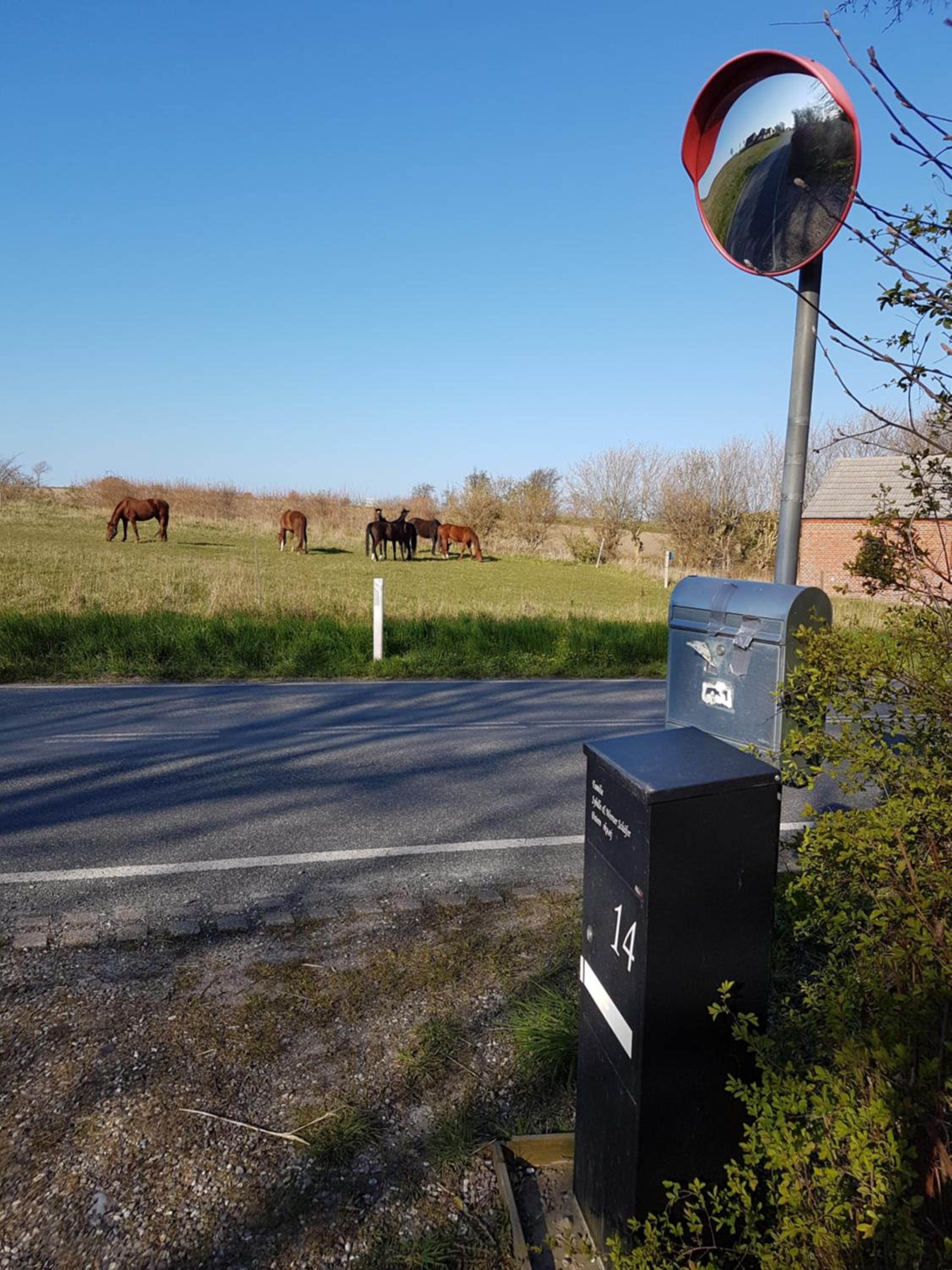Oestermark