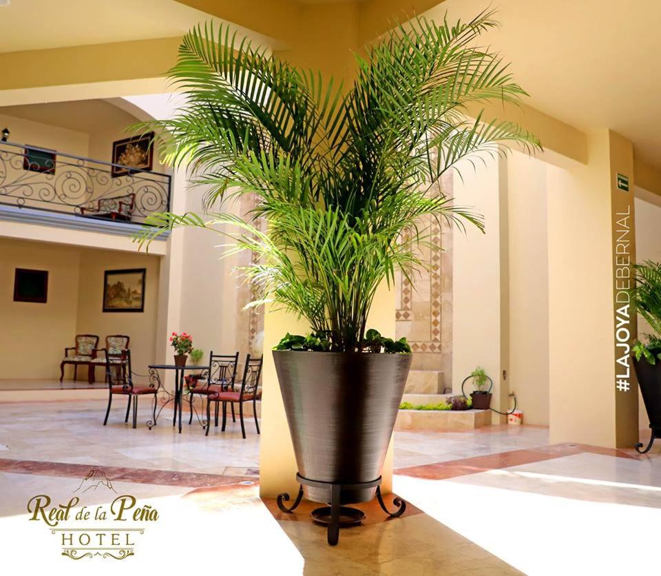 Hotel Real de La Peña - Image 1