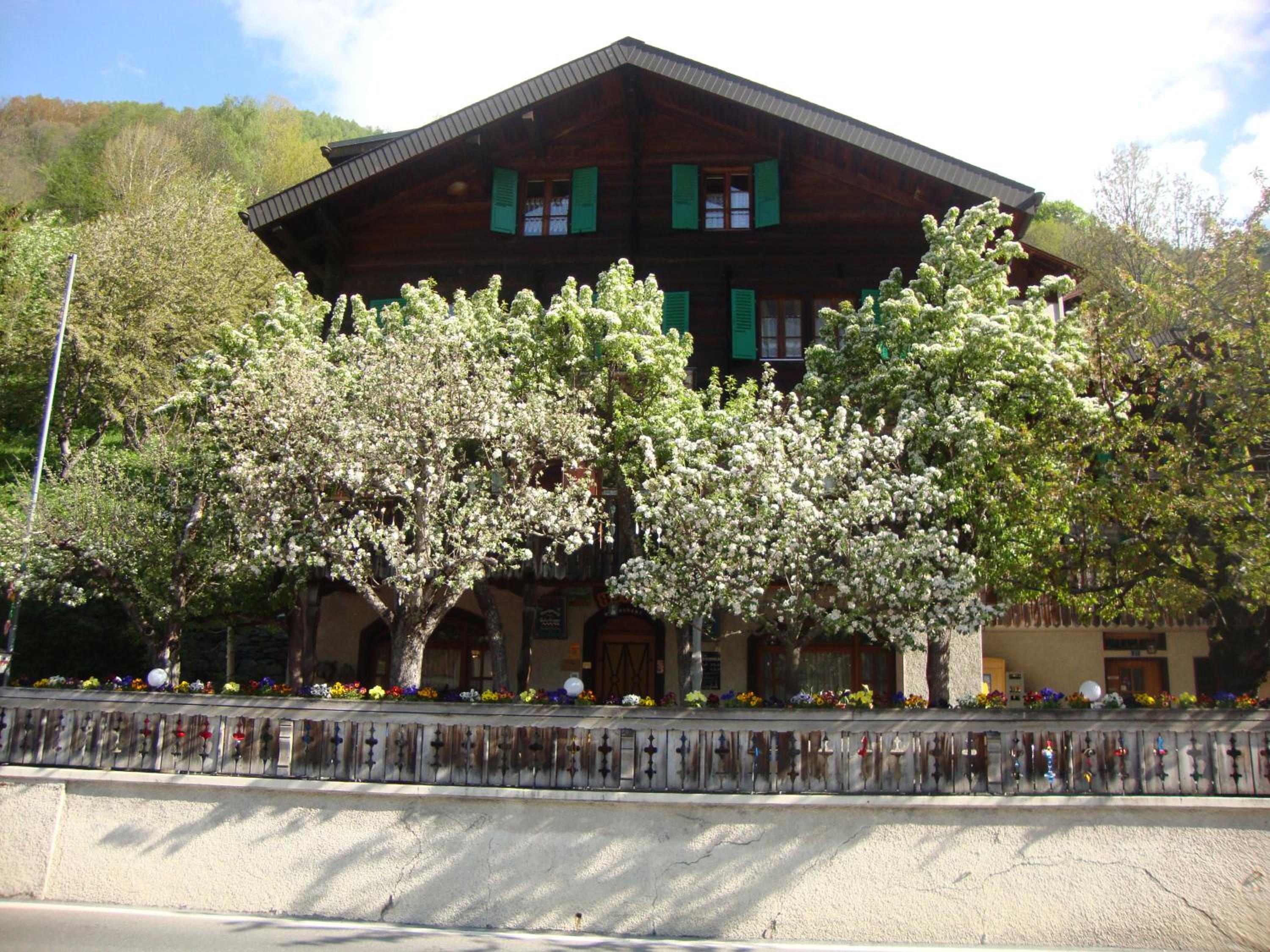 Photo 9