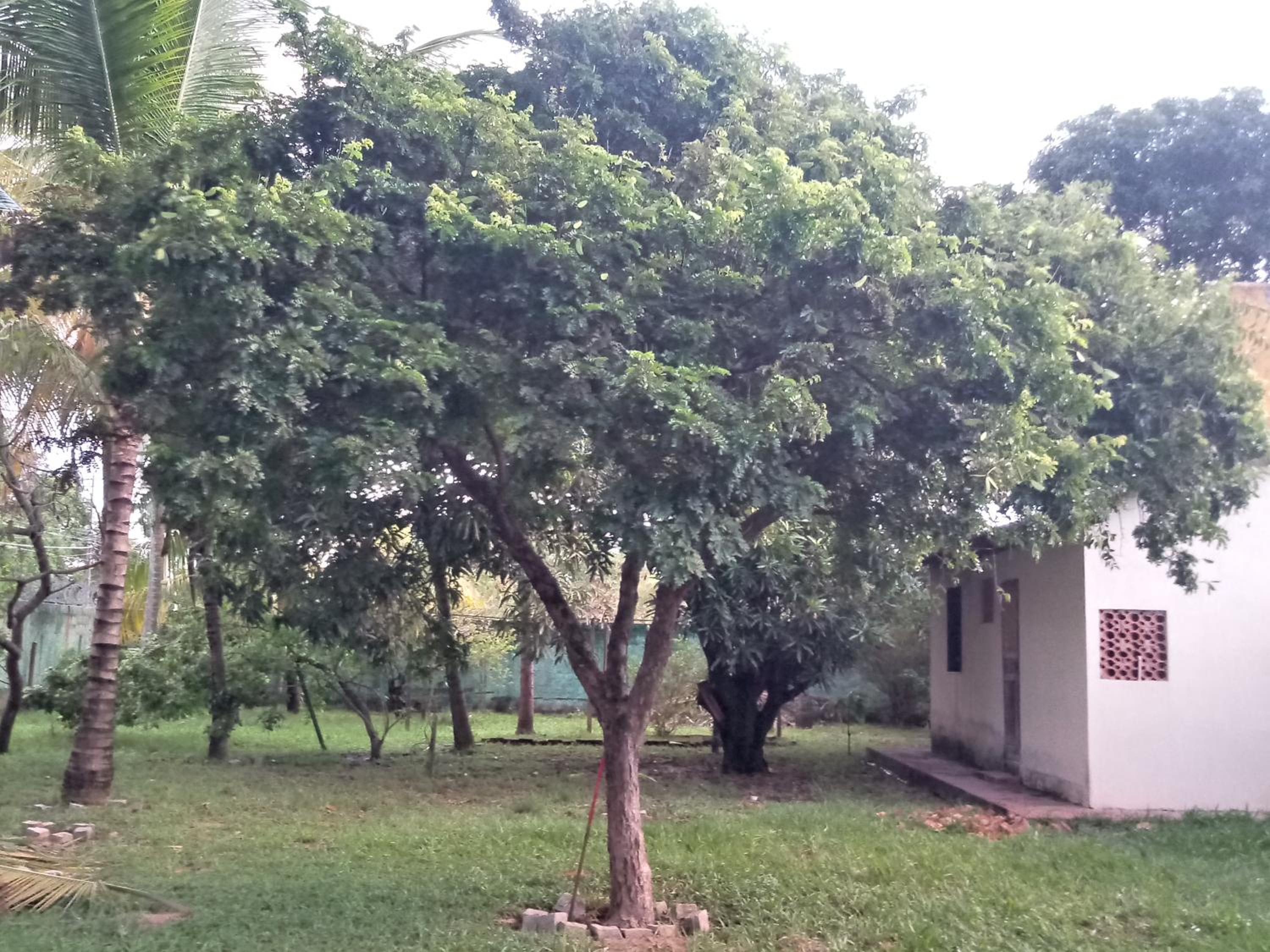 Casa Ilha de Itaparica