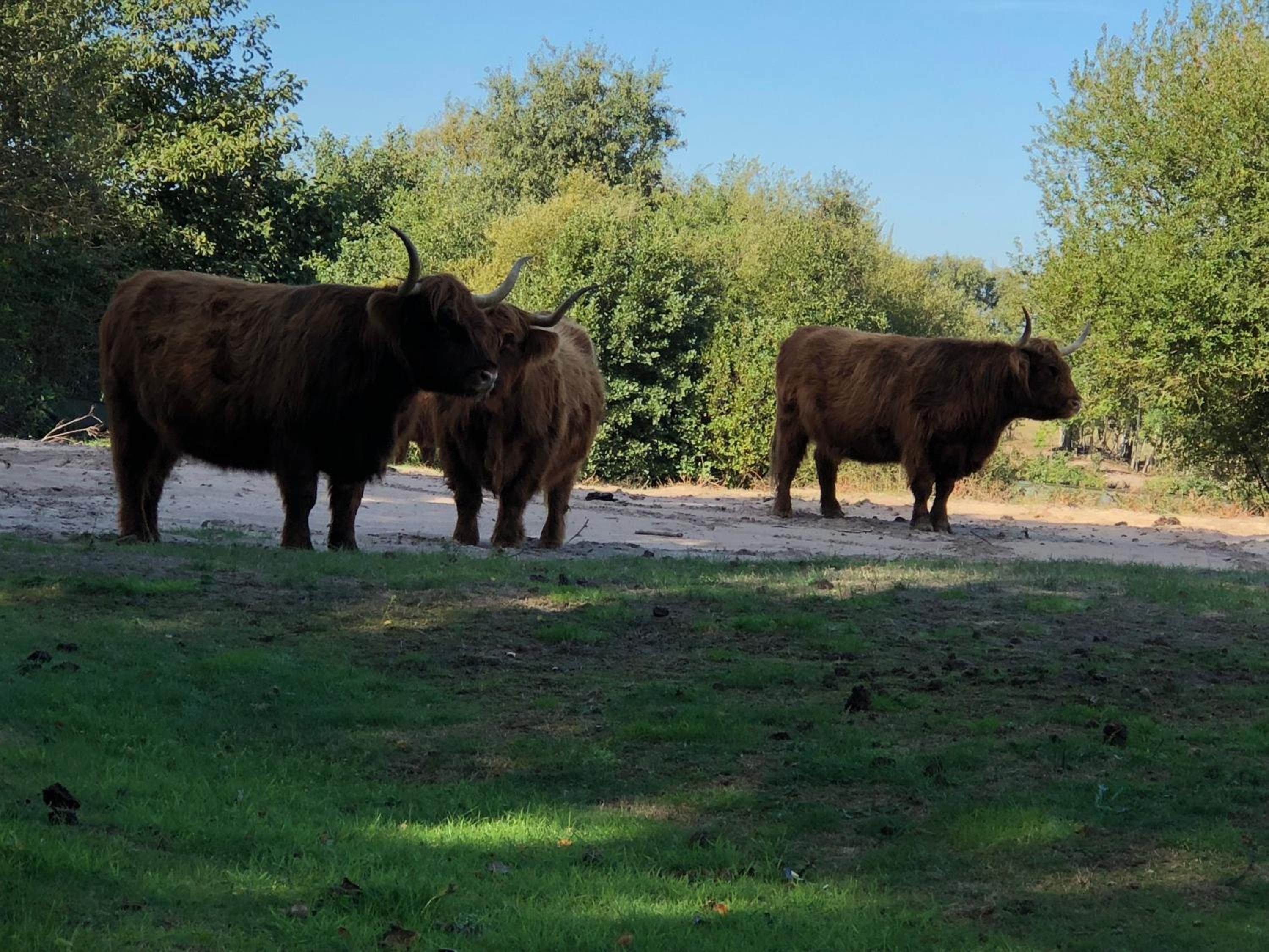 Pension Even Buiten