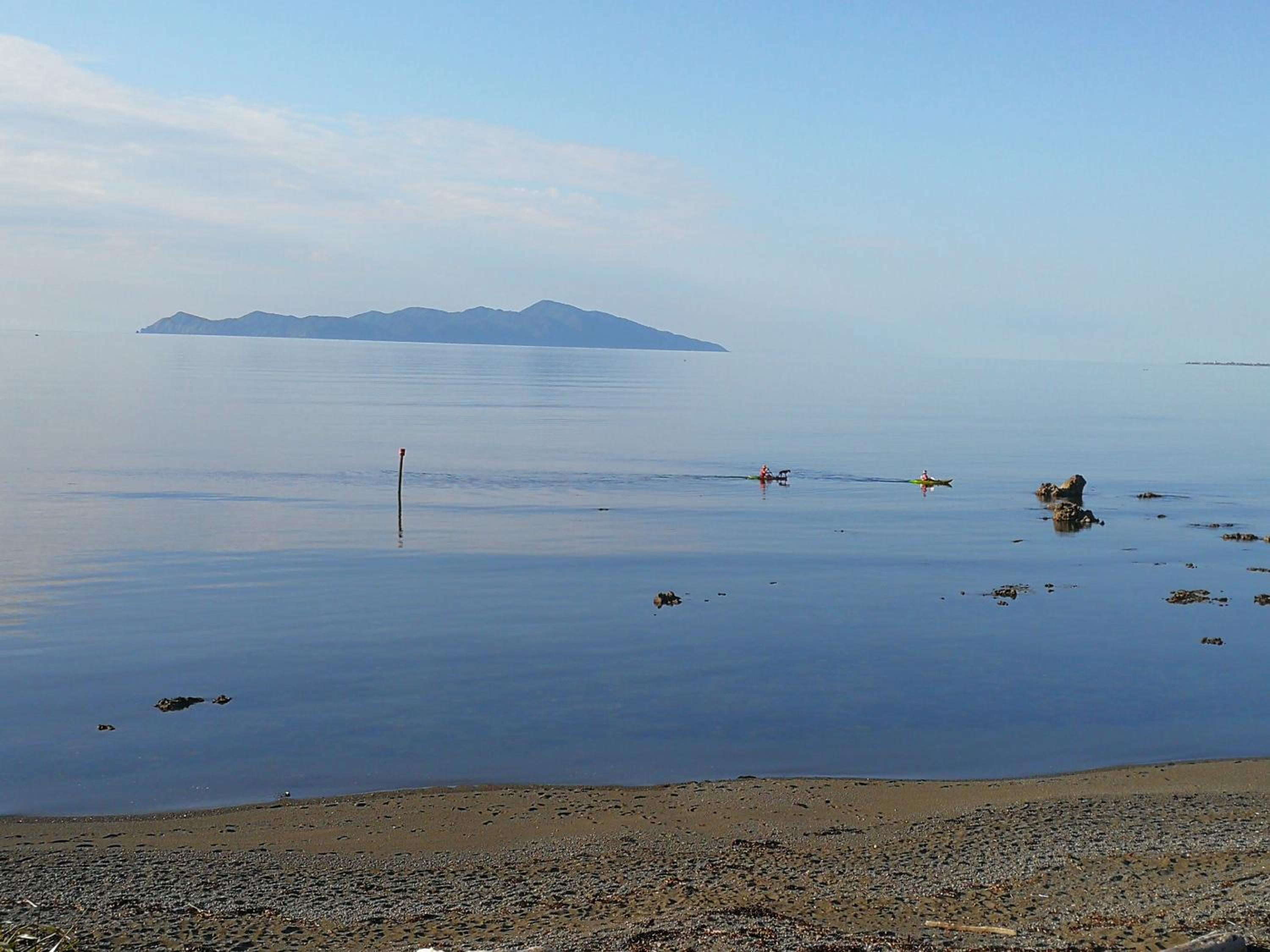 Kapiti Waves Bed & Breakfast