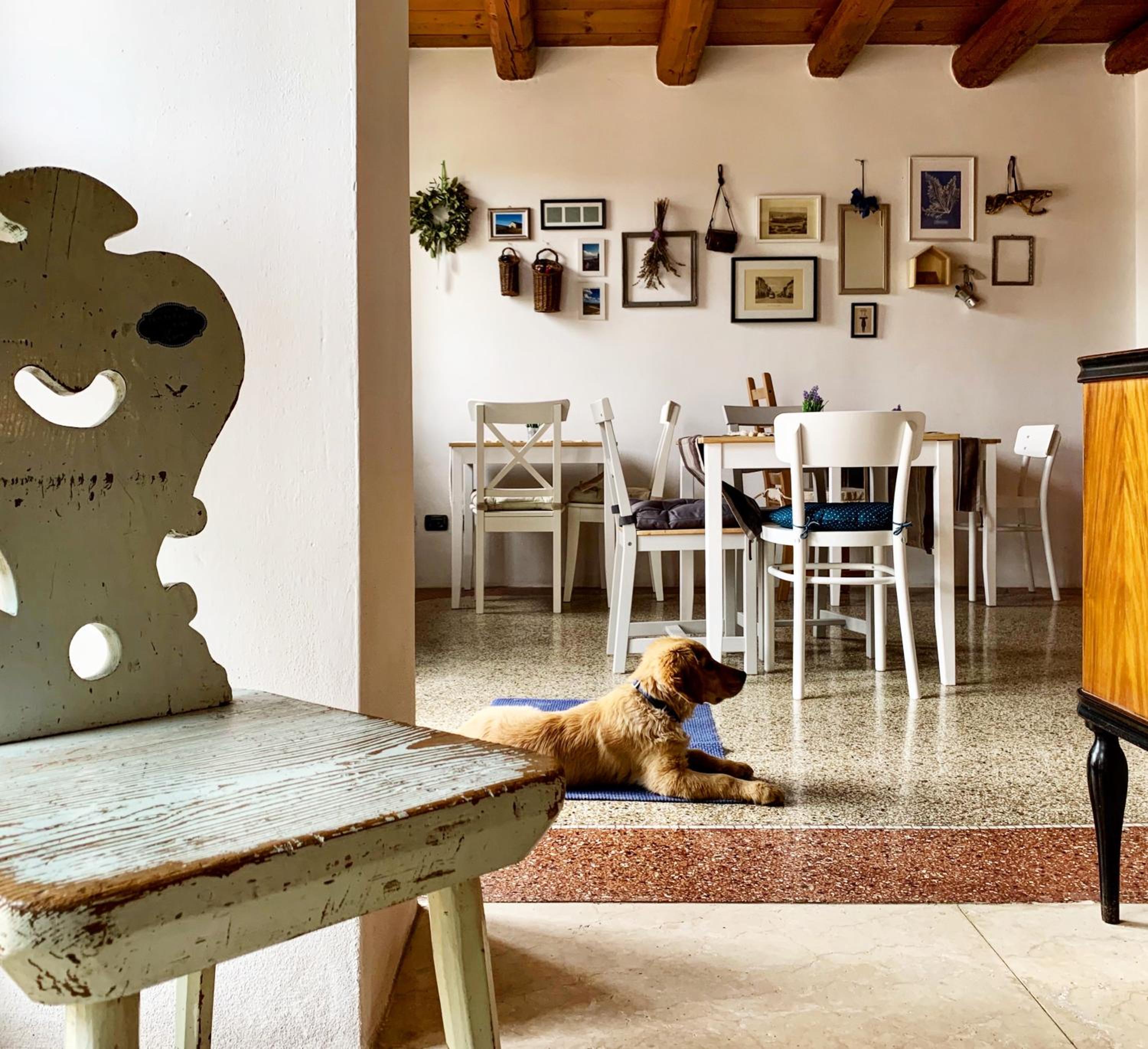 Photo 93