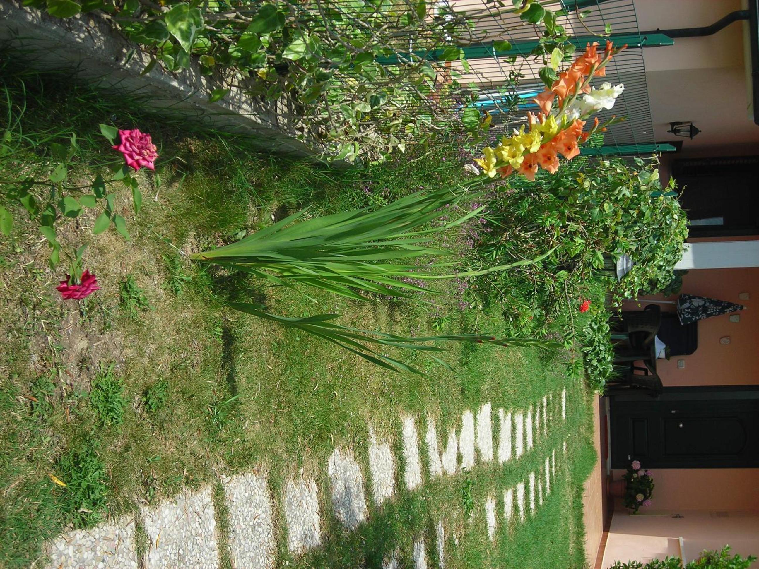 Photo 42