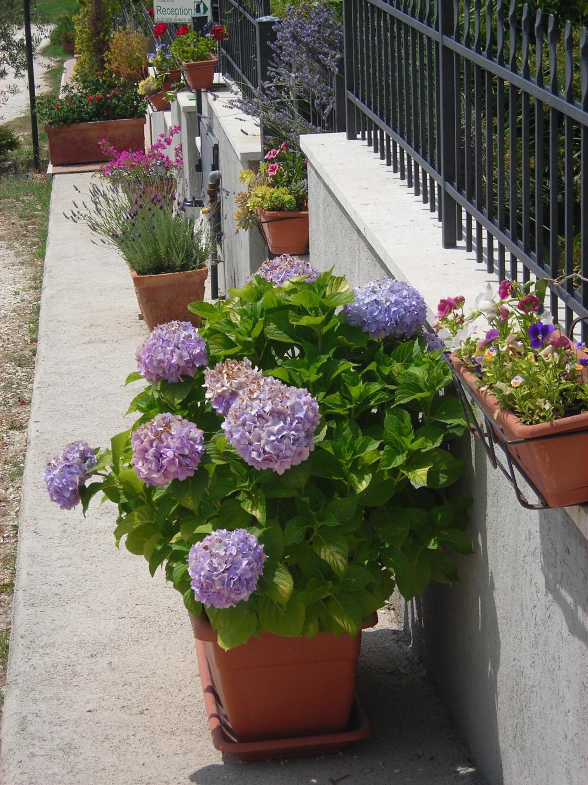 Photo 41