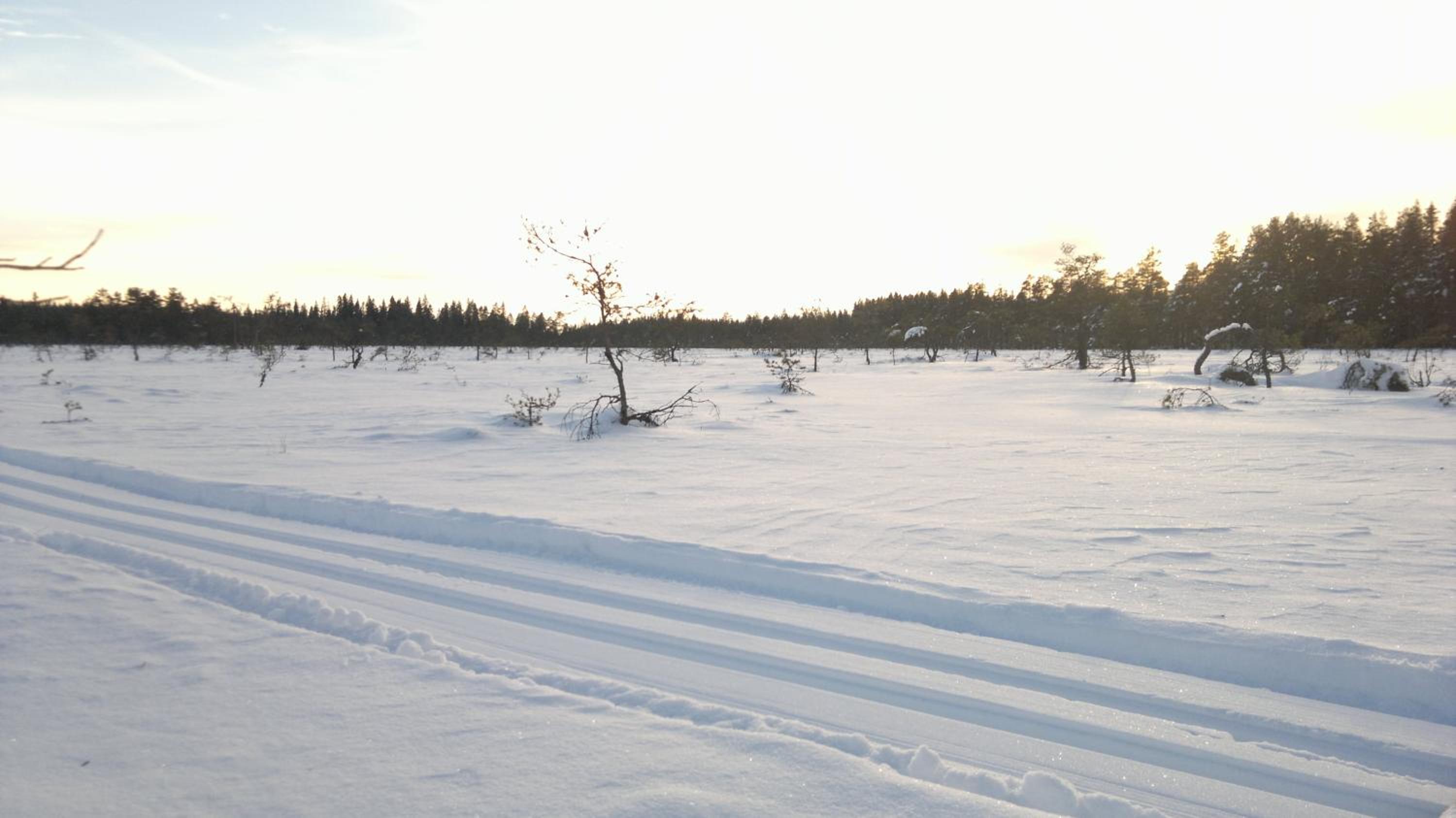 Kylås Vildmark view 5