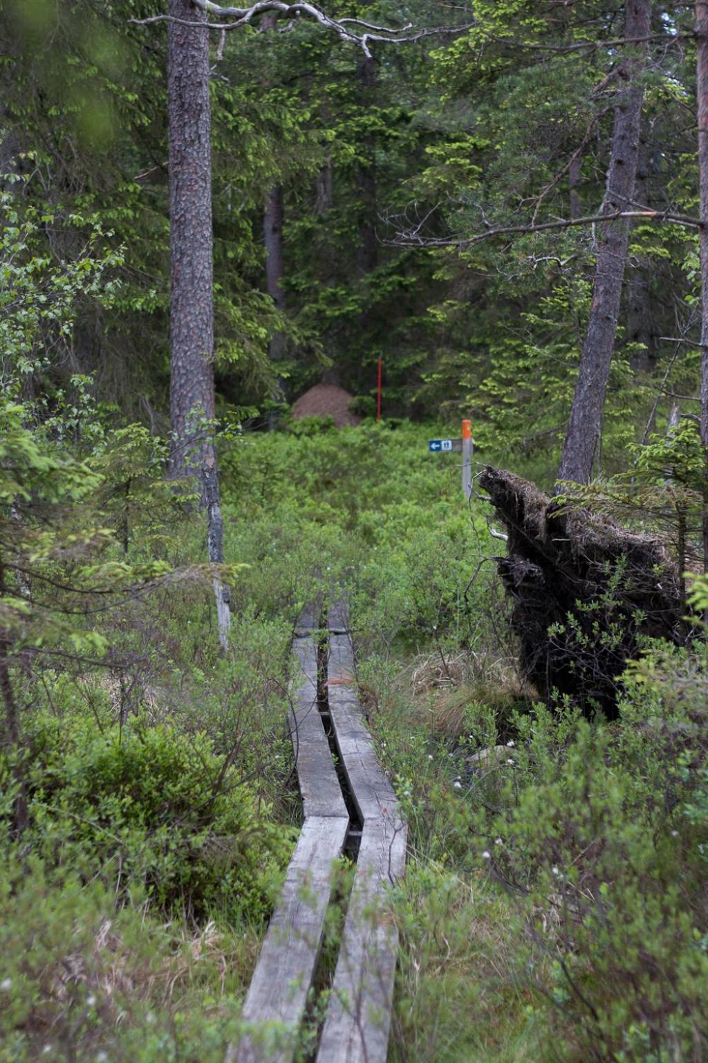 Kylås Vildmark view 3