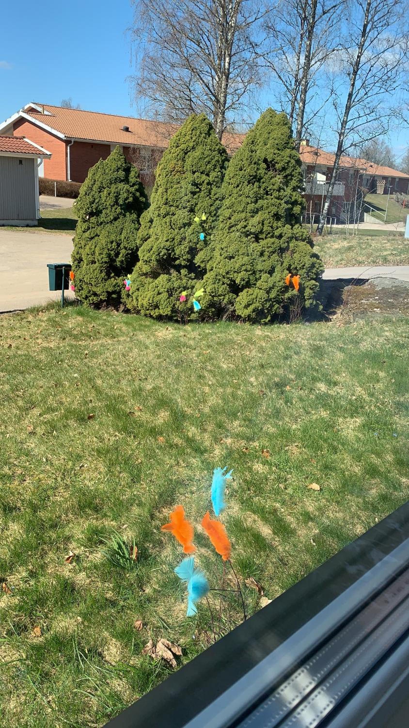 Photo 43
