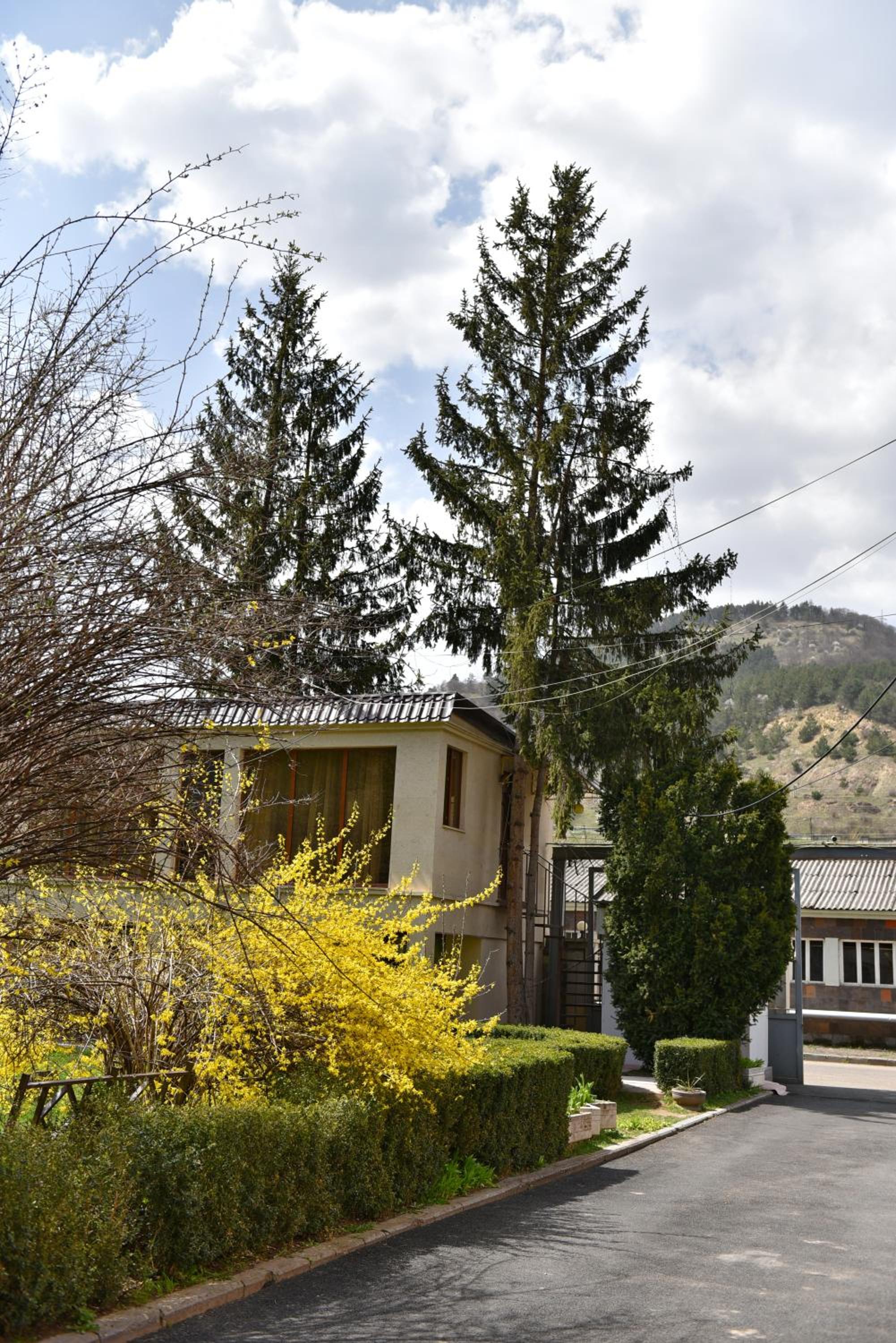 GreenWood Hotel