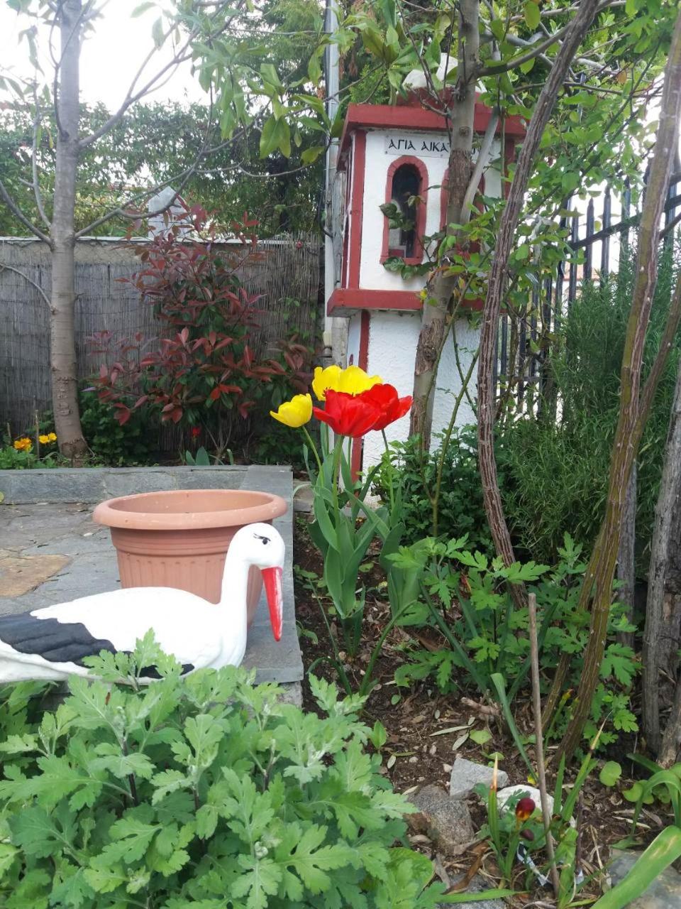 Photo 14