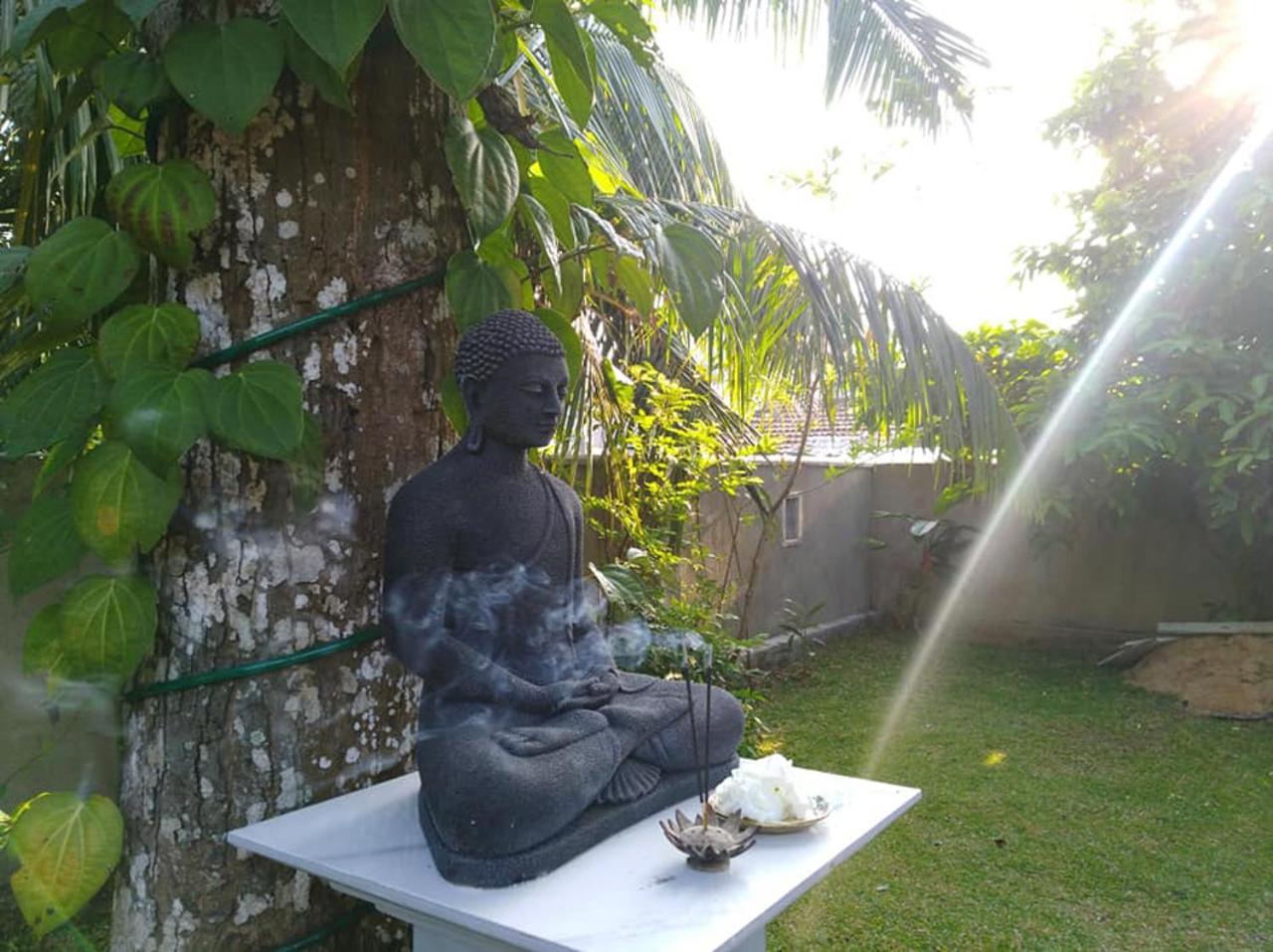 Aruliya Ayurveda Resort Galle