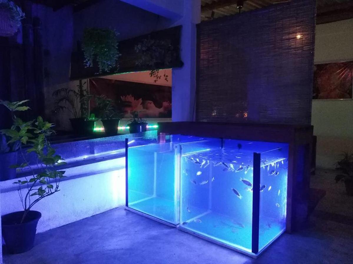 Aruliya Ayurveda Resort Galle