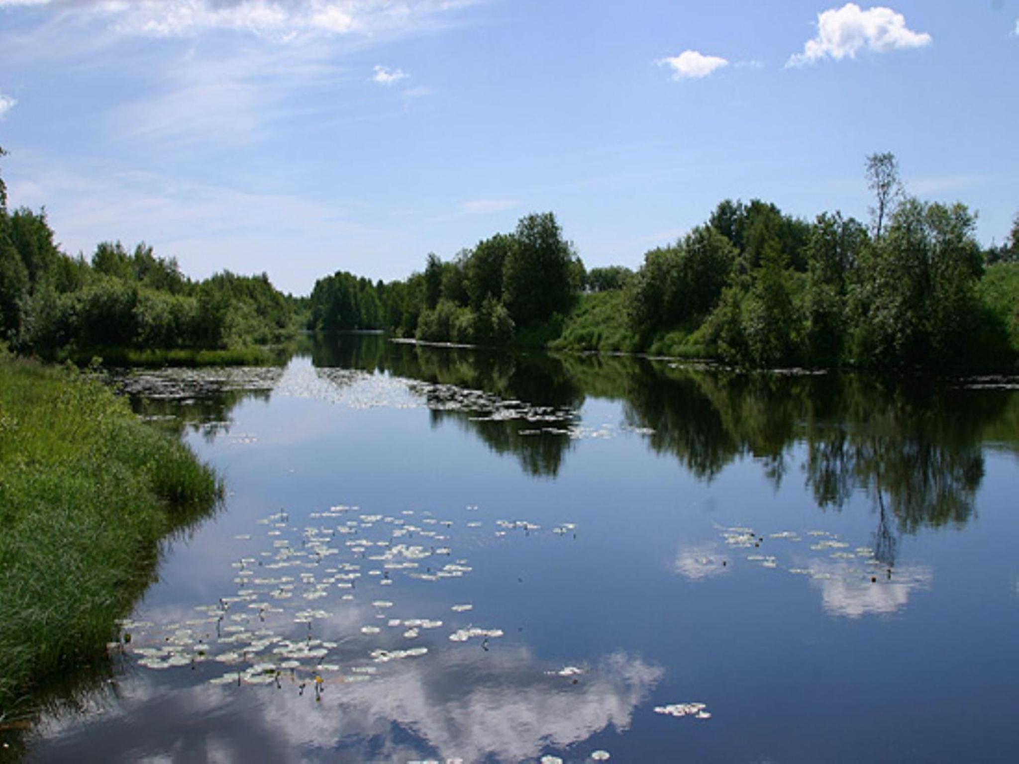 Sangis Motell och Camping view 5