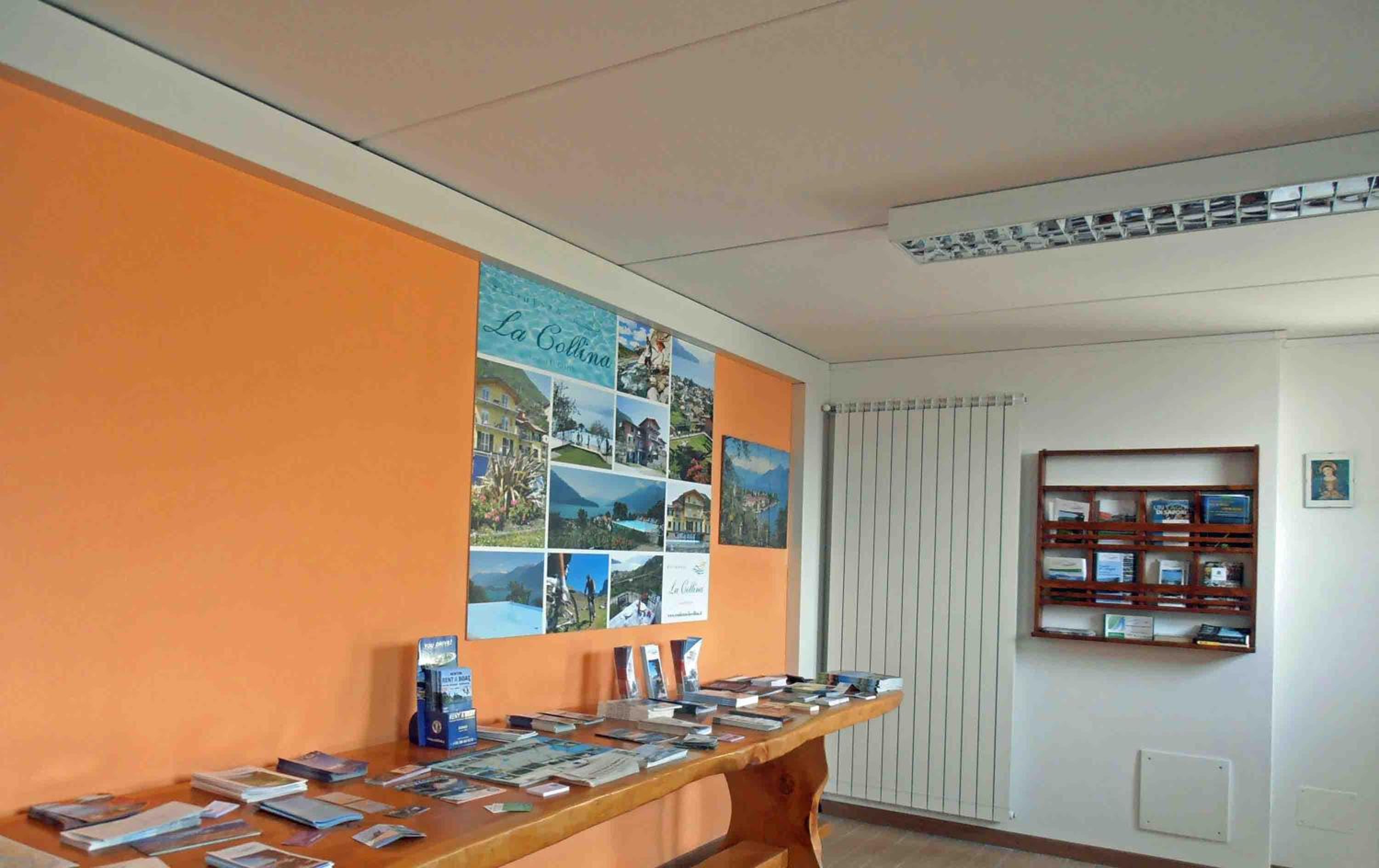 La Collina degli Ulivi