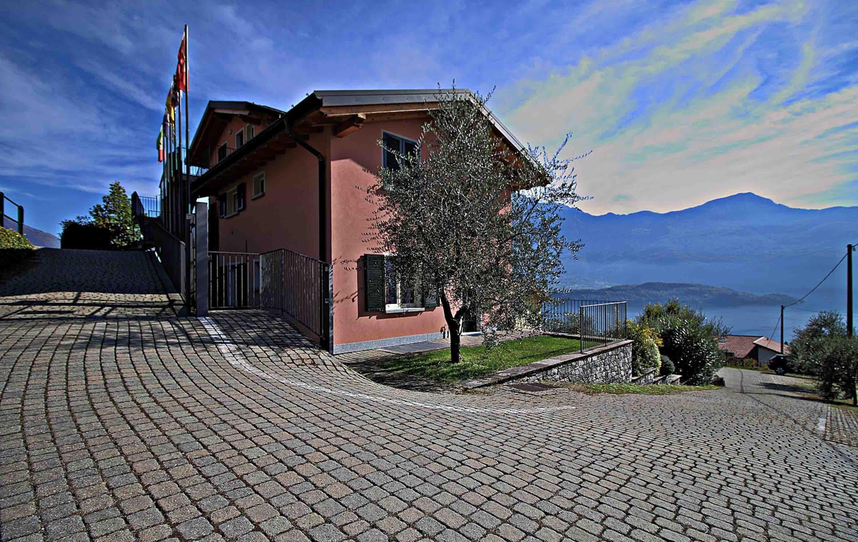 La Collina degli Ulivi