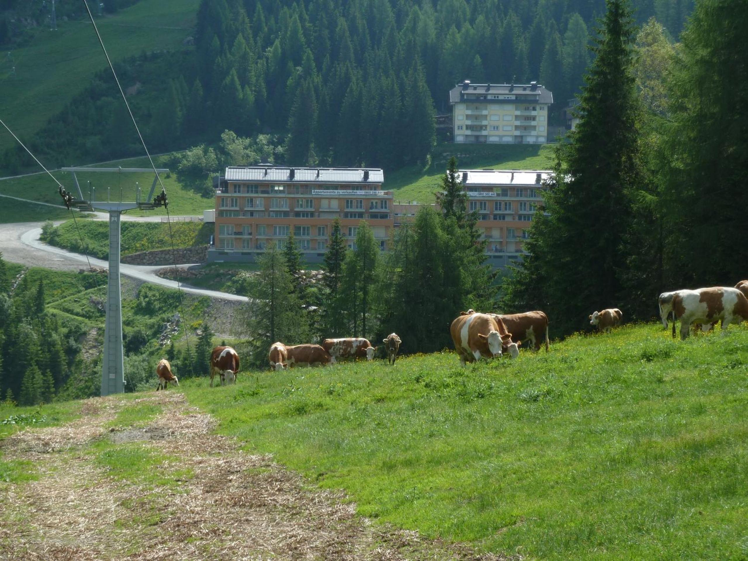 Appartementhaus CKPK Sonnenalpe Nassfeld
