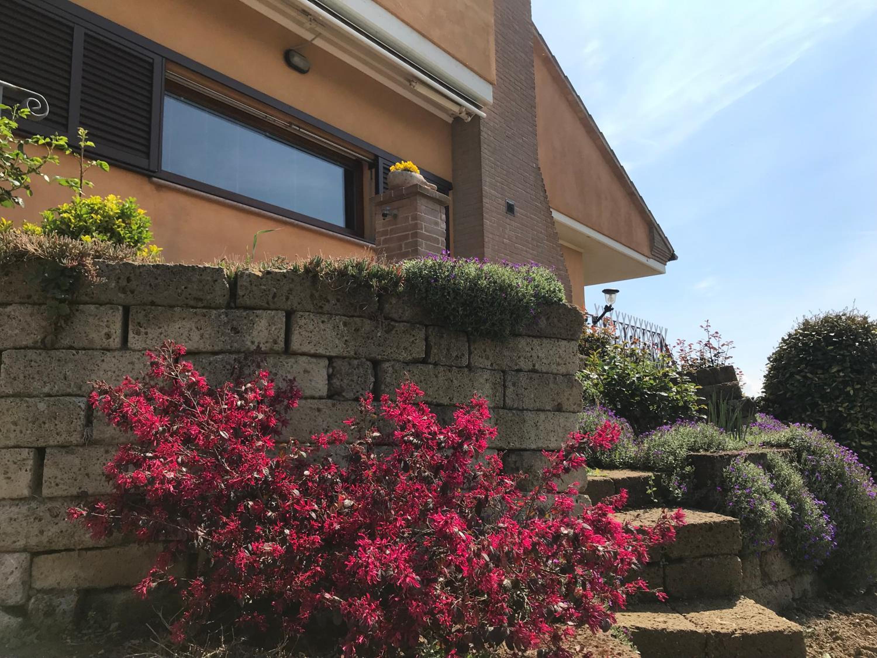 La Mammola Bed&Breakfast