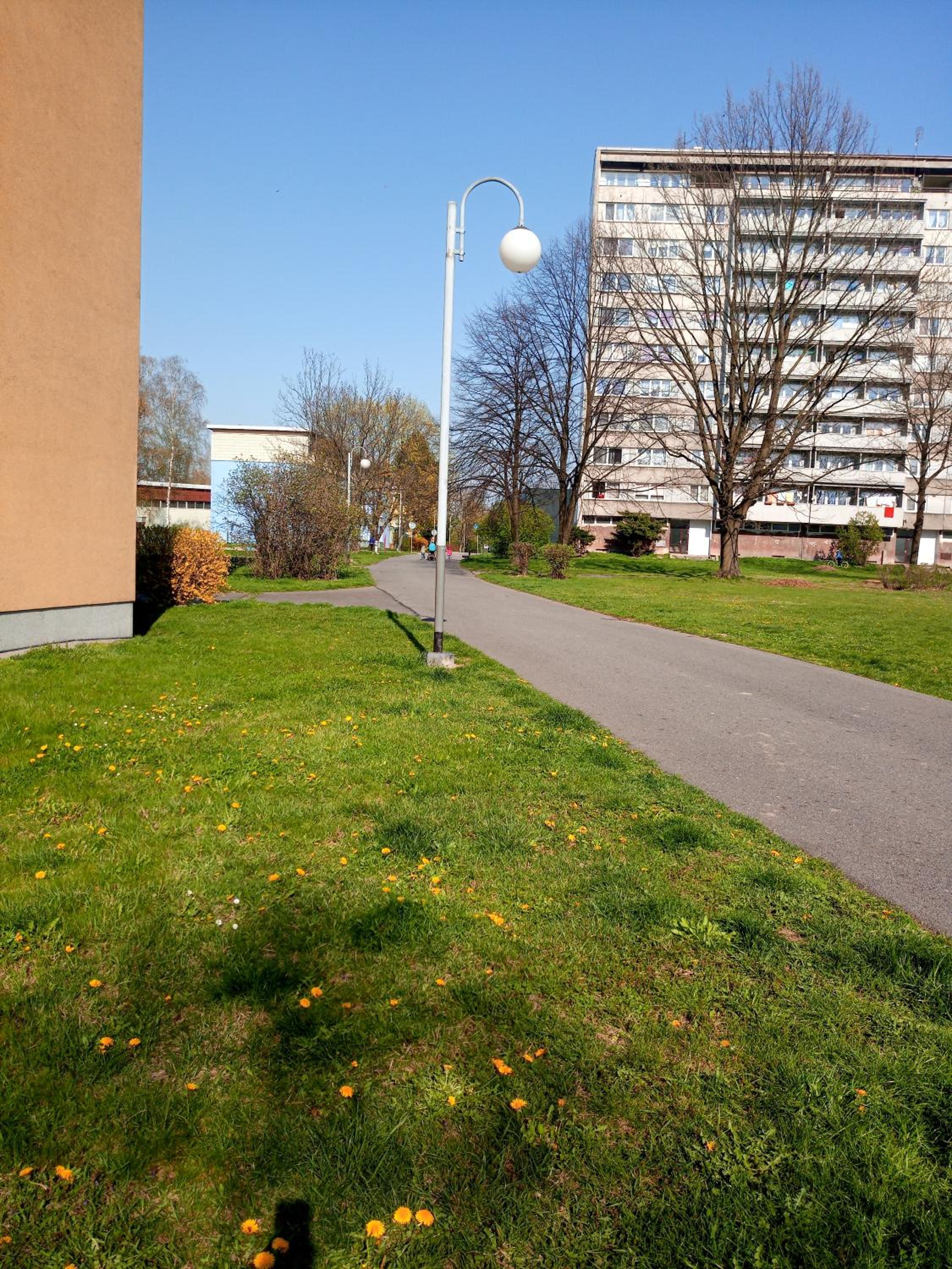 Photo 31