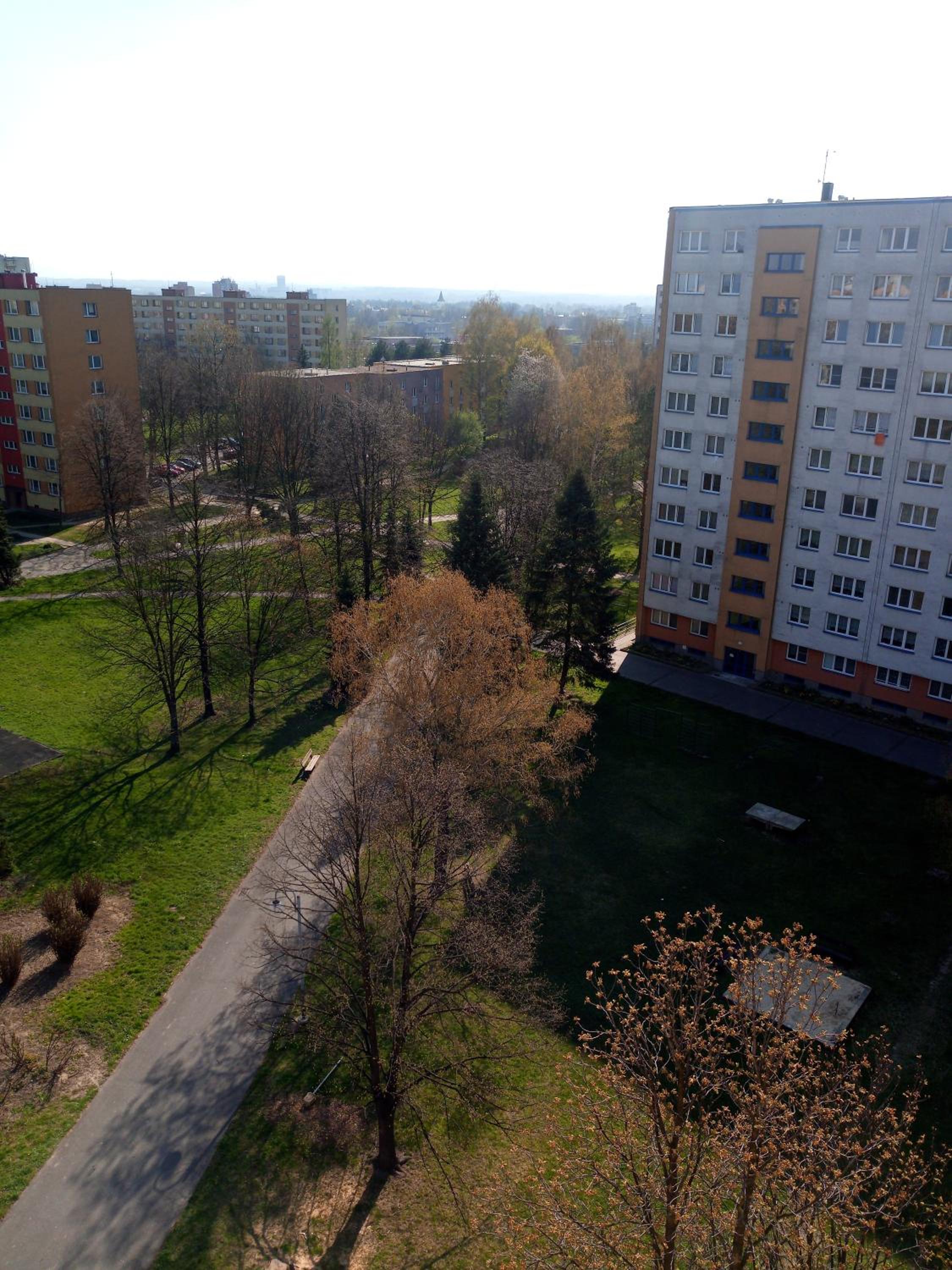Photo 40