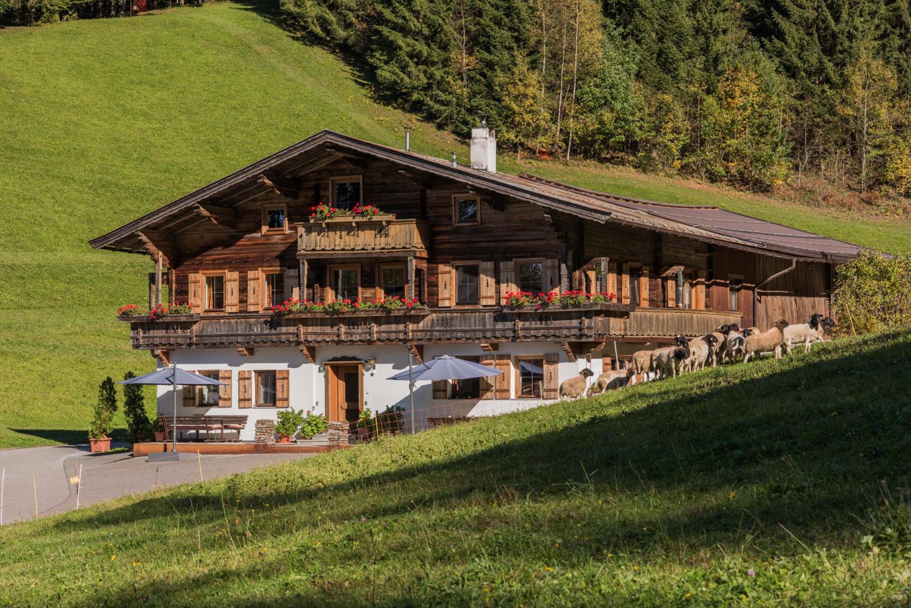 Bauernhof Mühltalhof view 5
