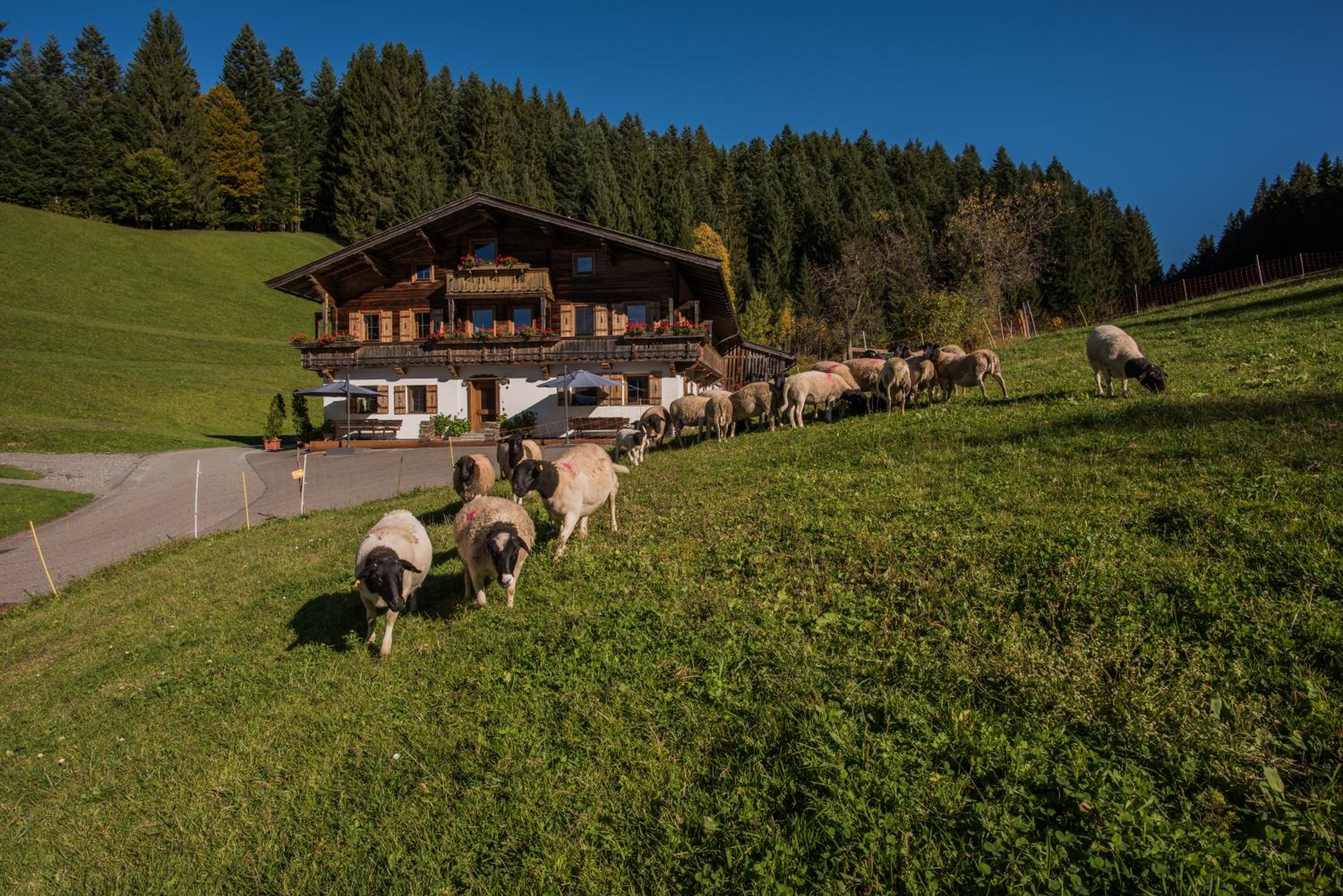 Bauernhof Mühltalhof view 2