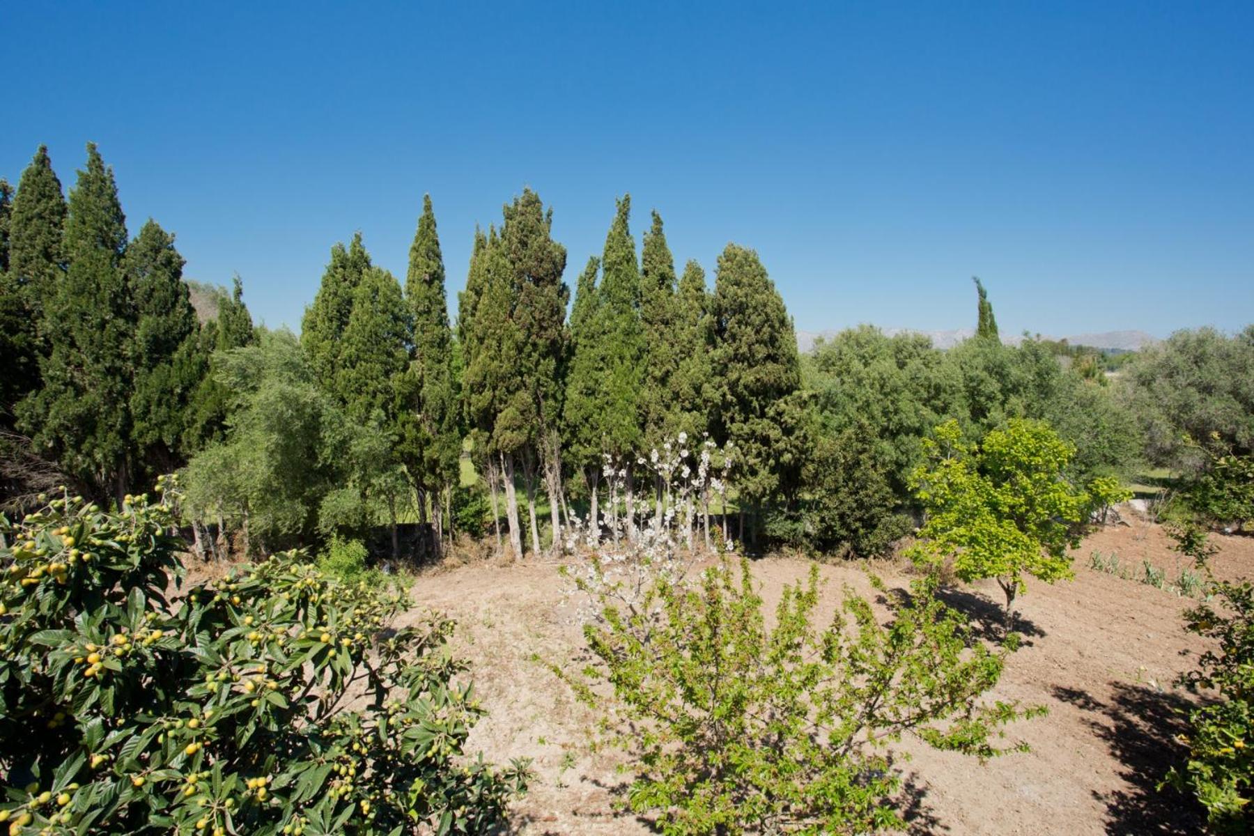 Villa Cifre