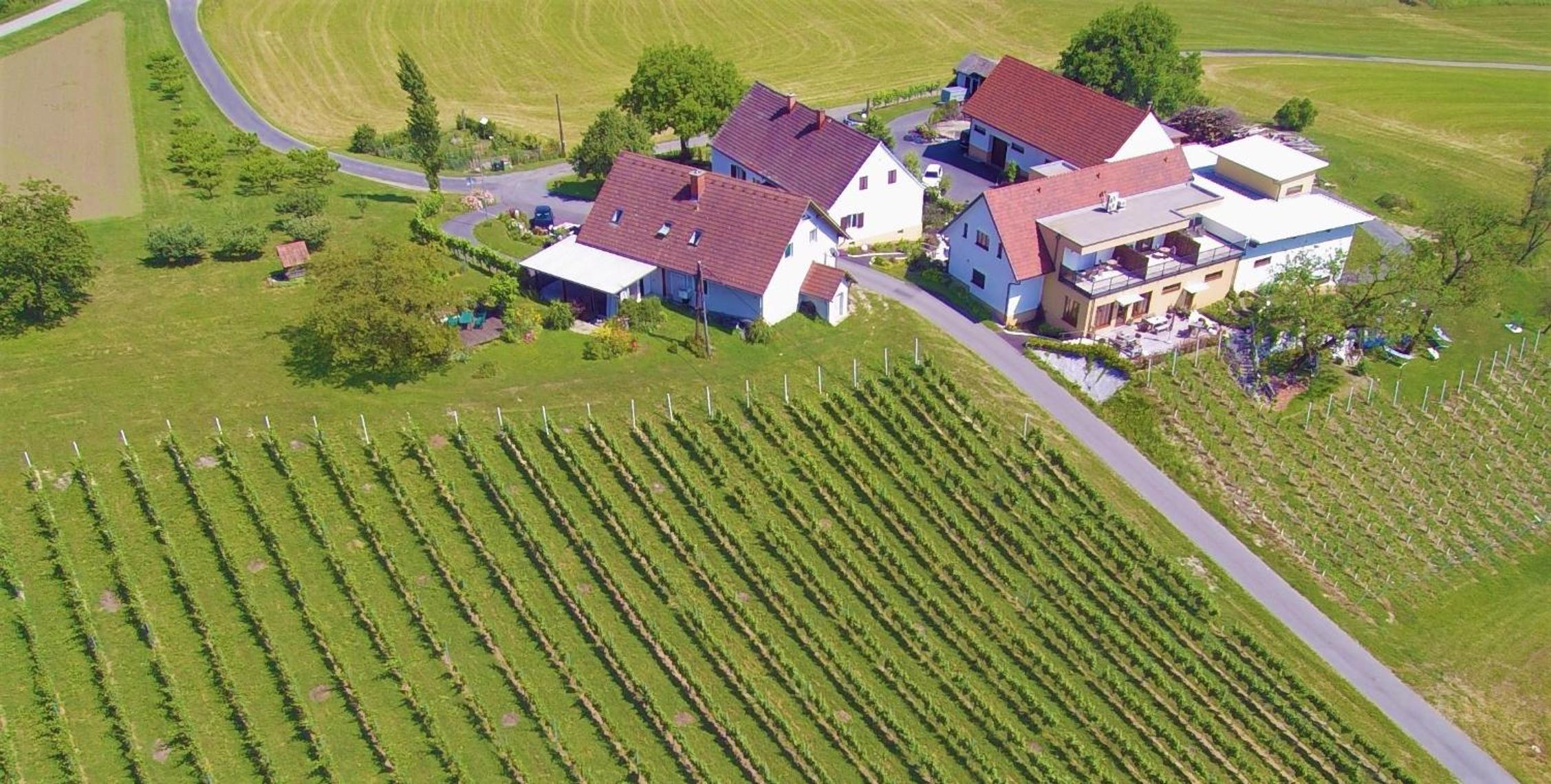 Weingut und Gästezimmer Perner