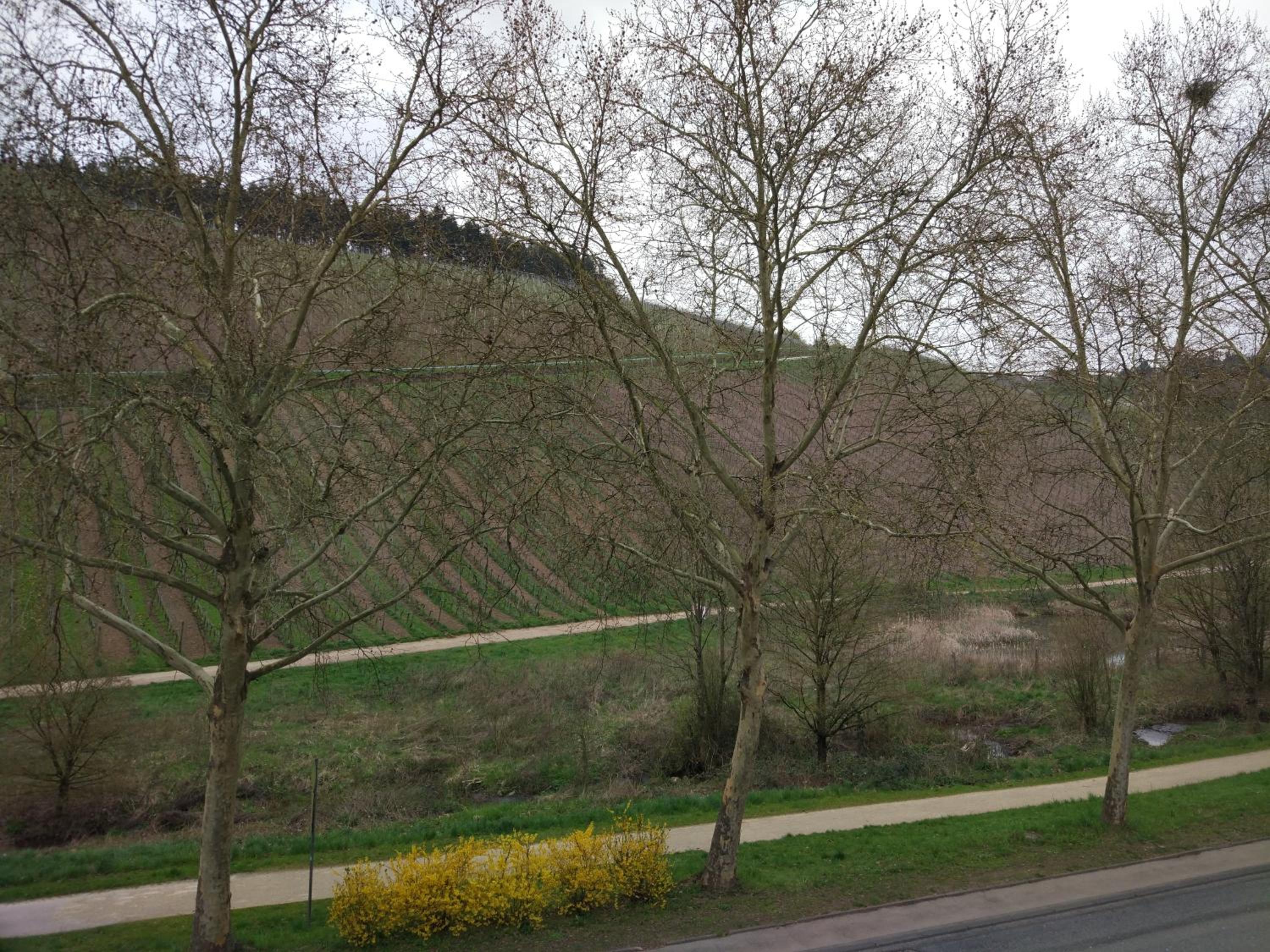 Ferienappartement Trier en Trier