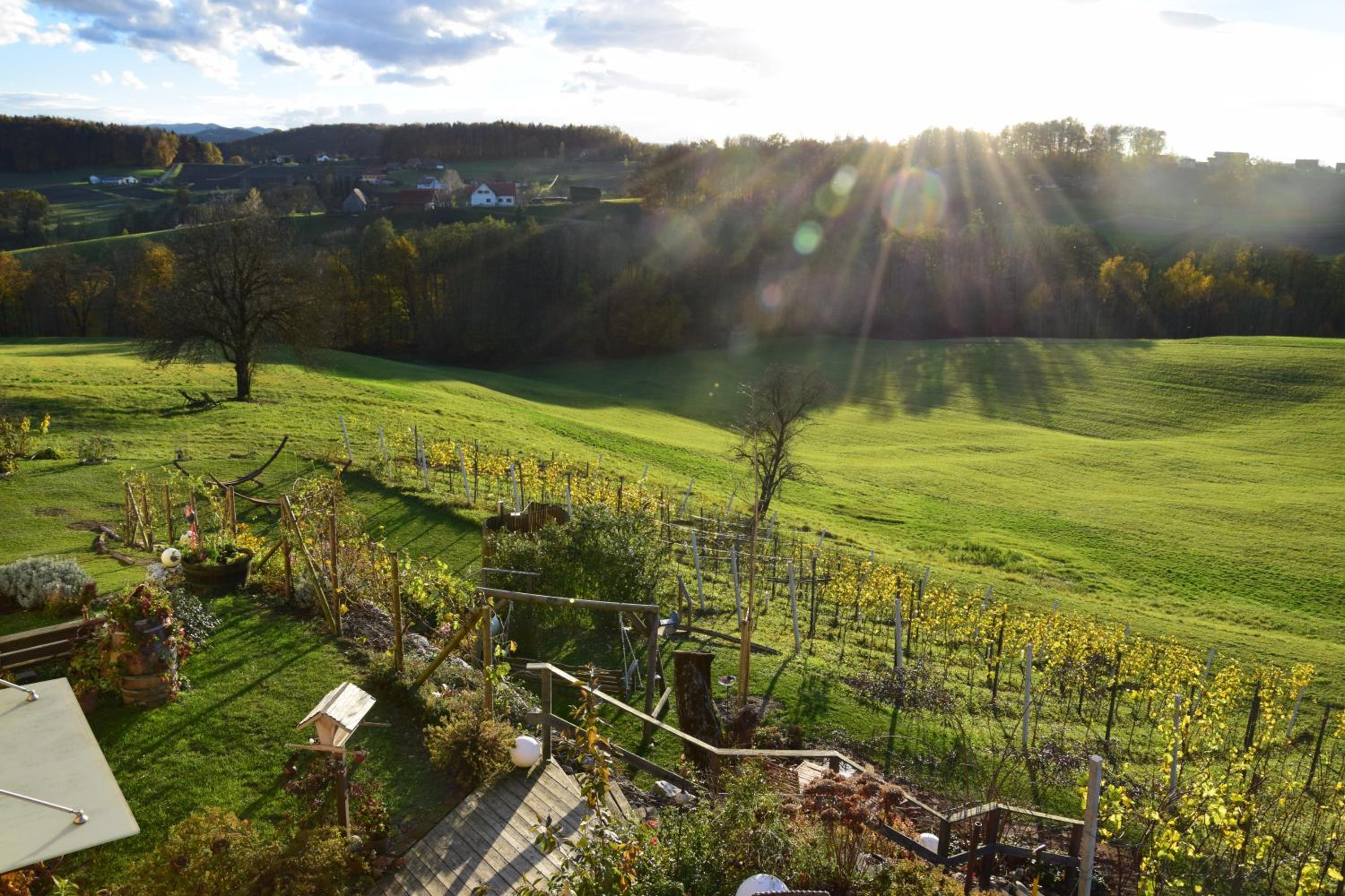 Weingut und Gästezimmer Perner