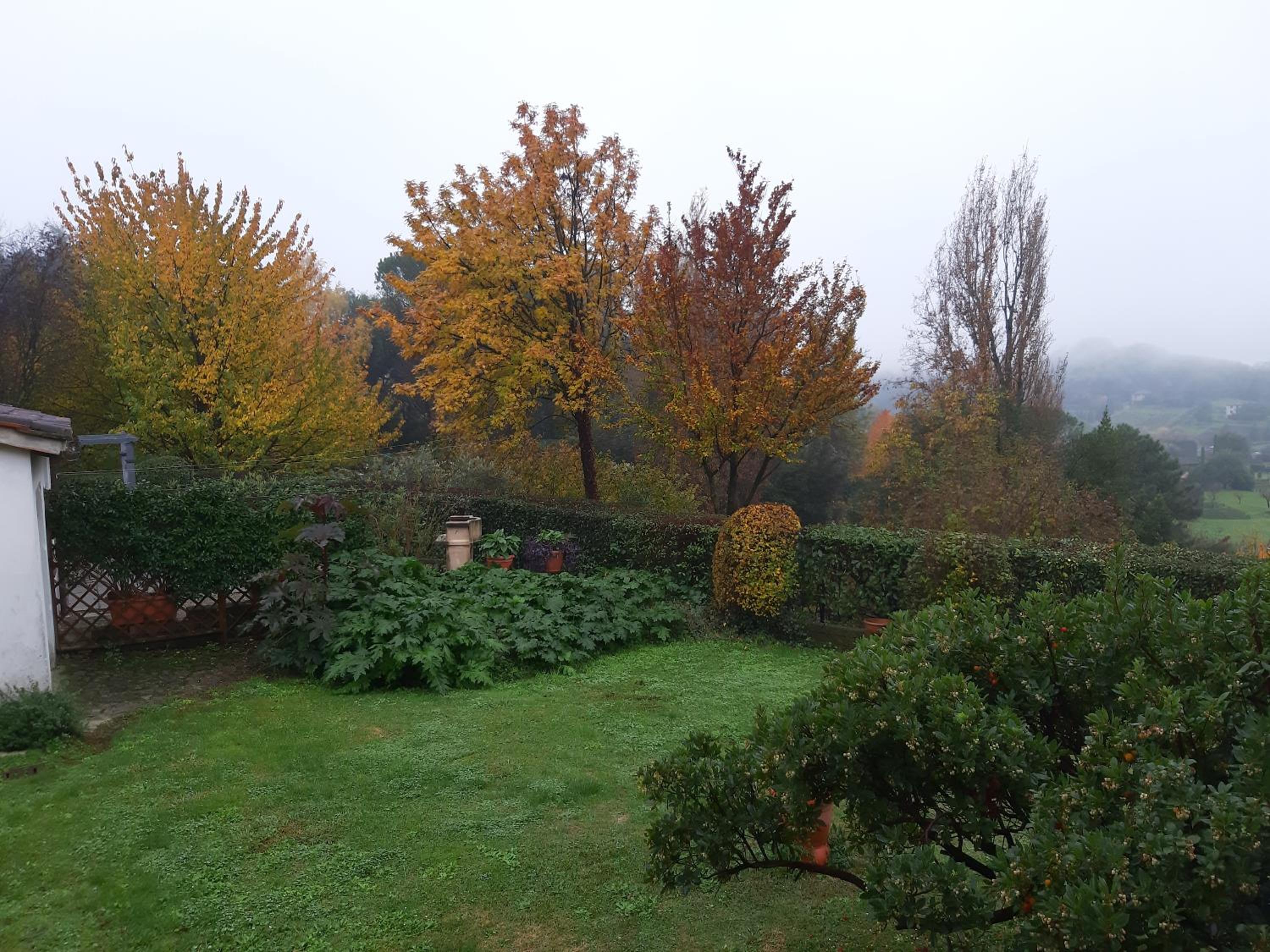 Photo 27
