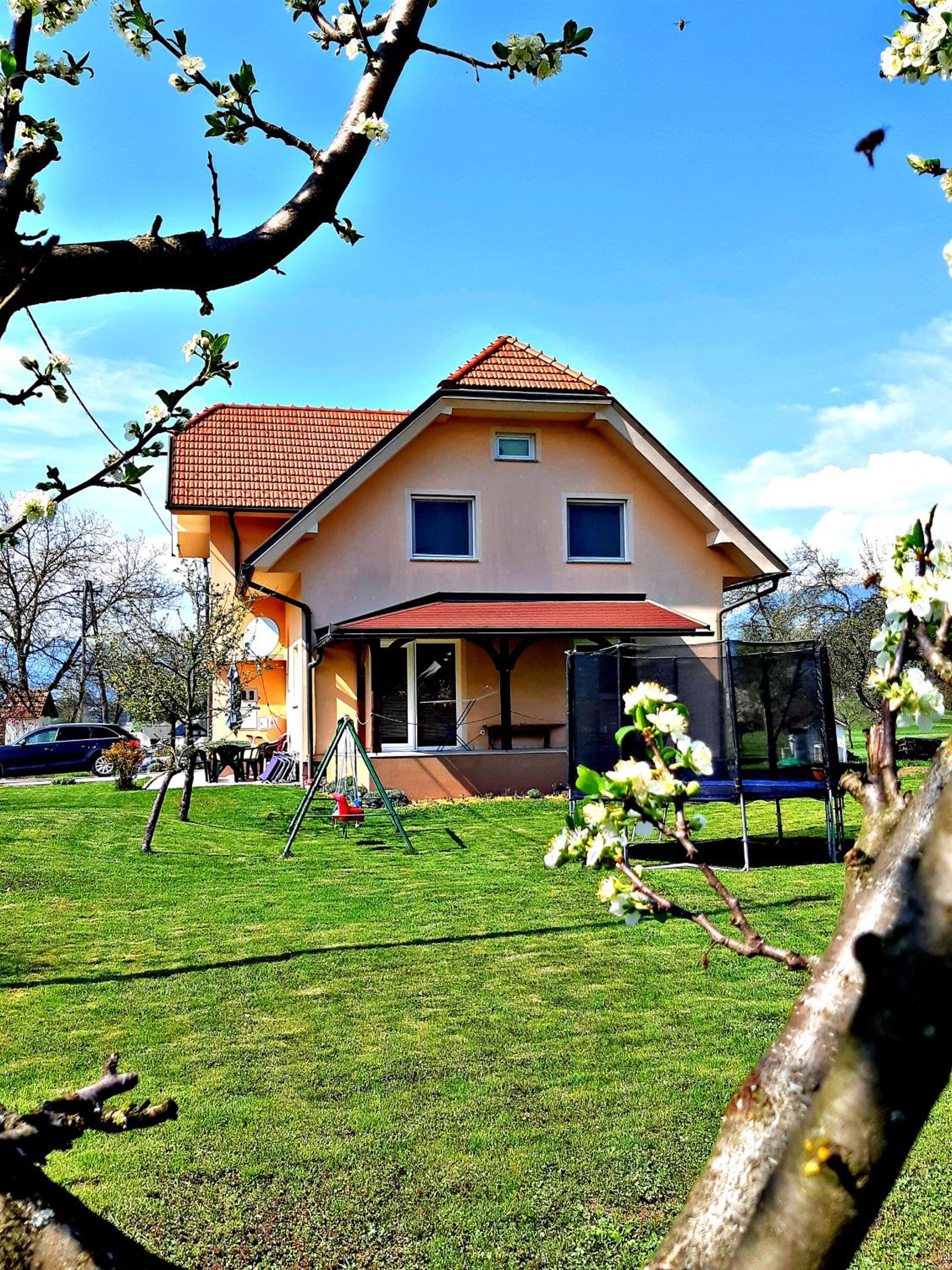 Photo 29