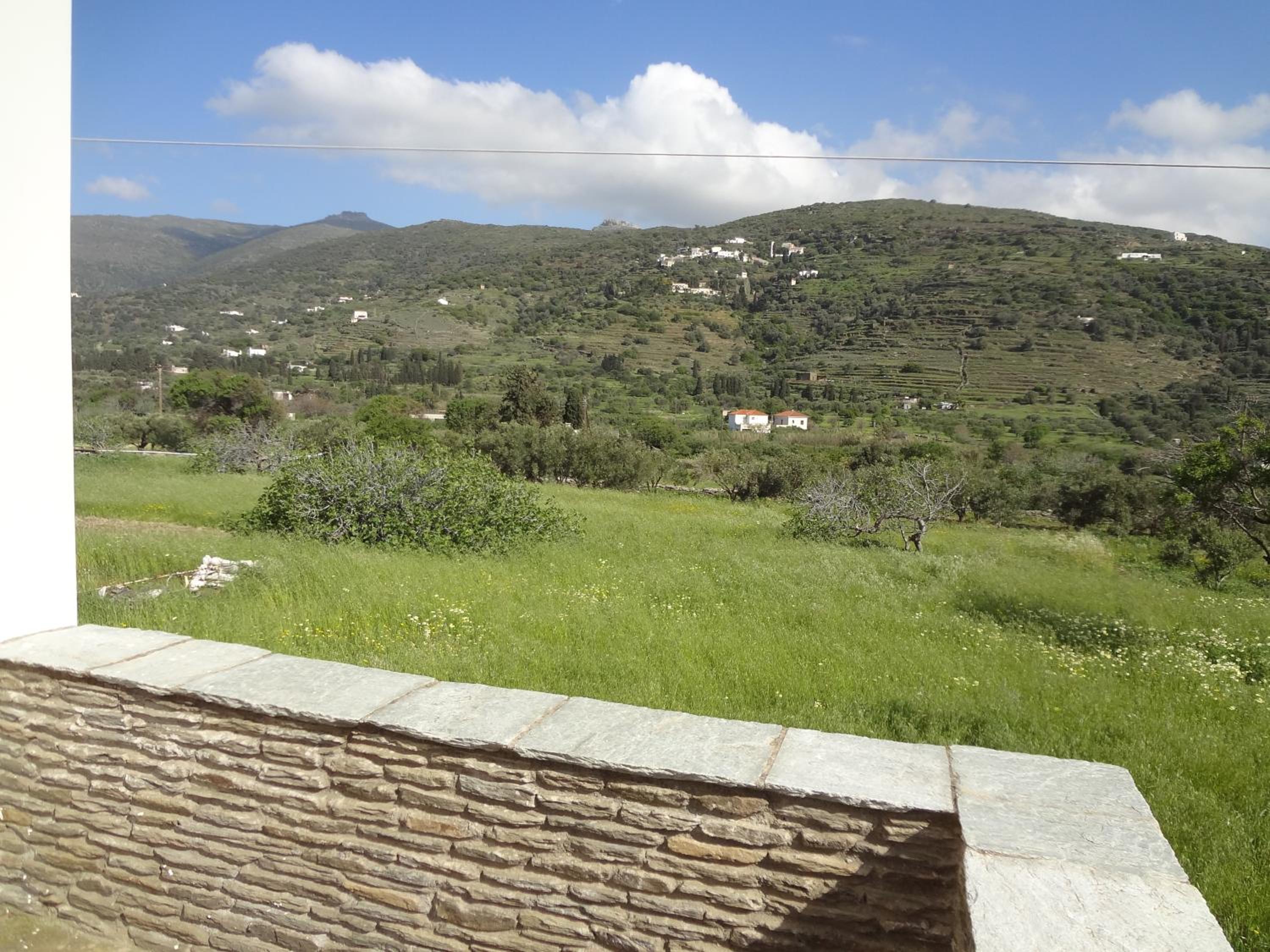 House in the grass land. view 4
