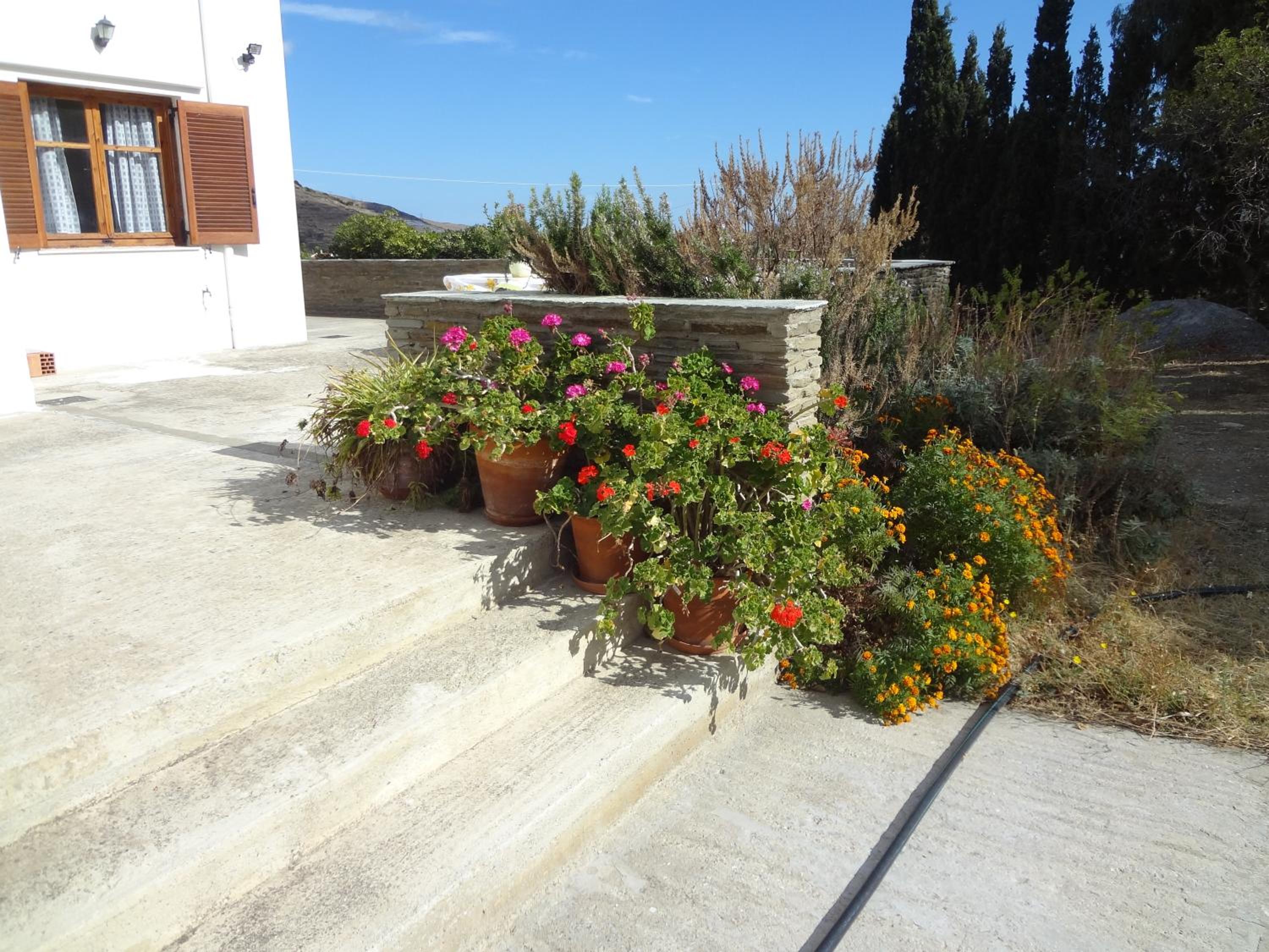 House in the grass land. view 3