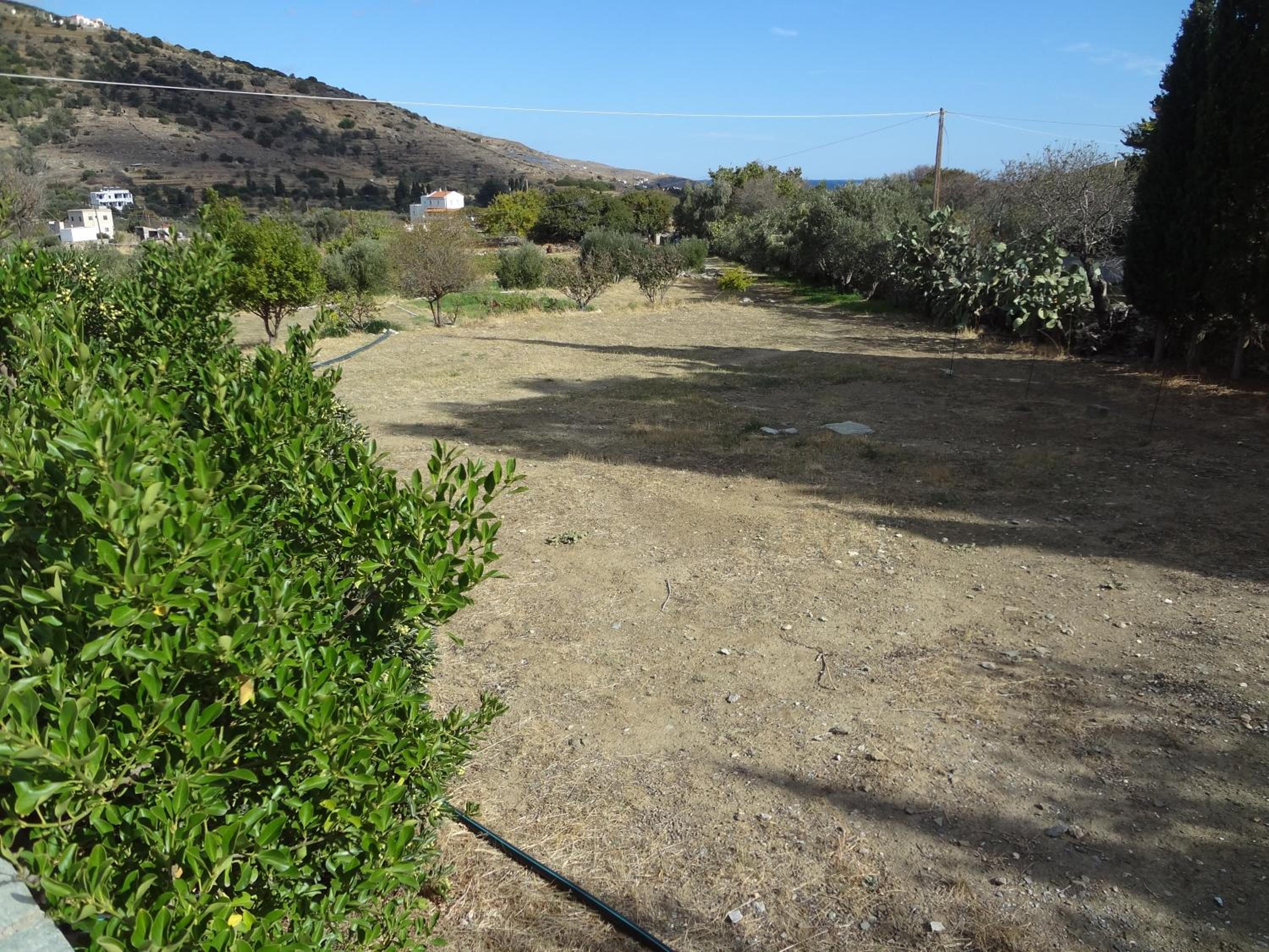 House in the grass land. view 5