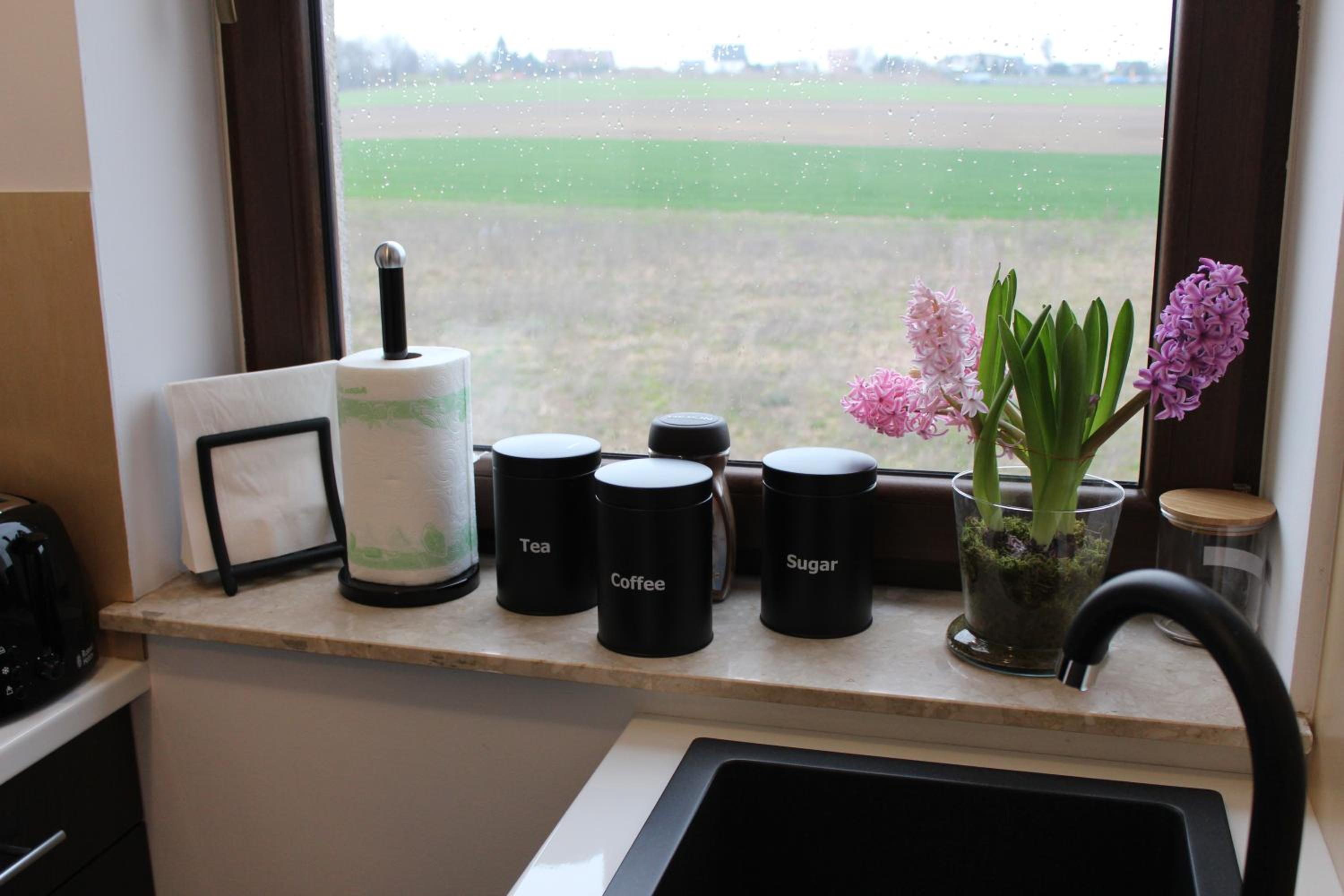 Apartament Fibra Aroma view 3