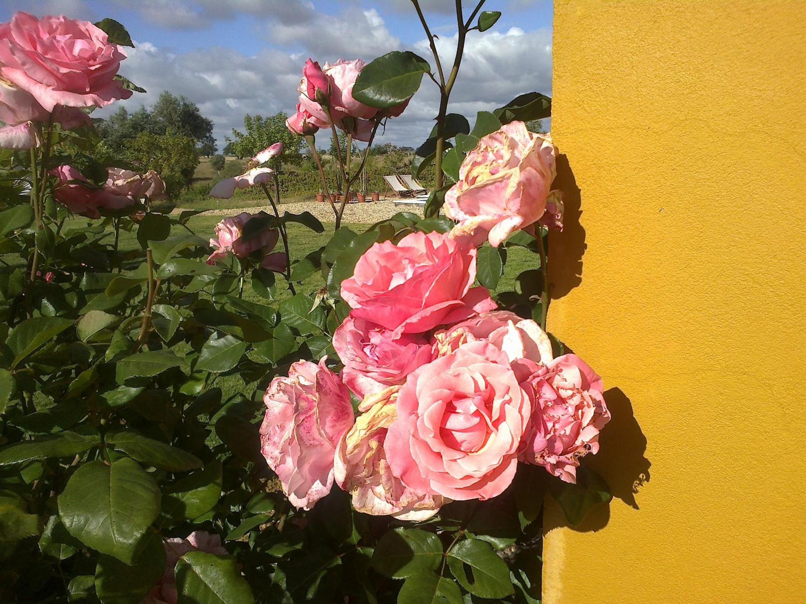 Photo 33