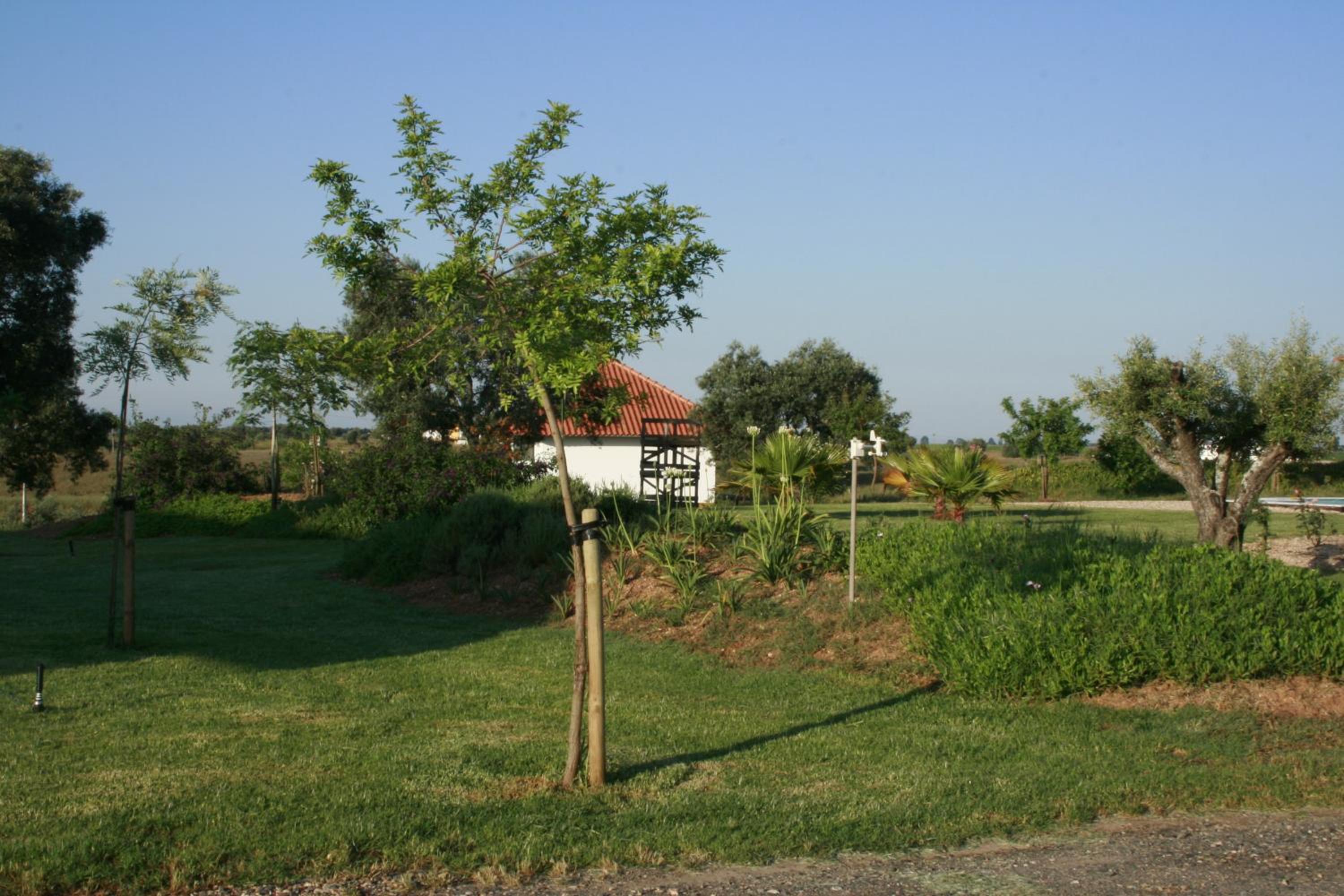 Photo 34
