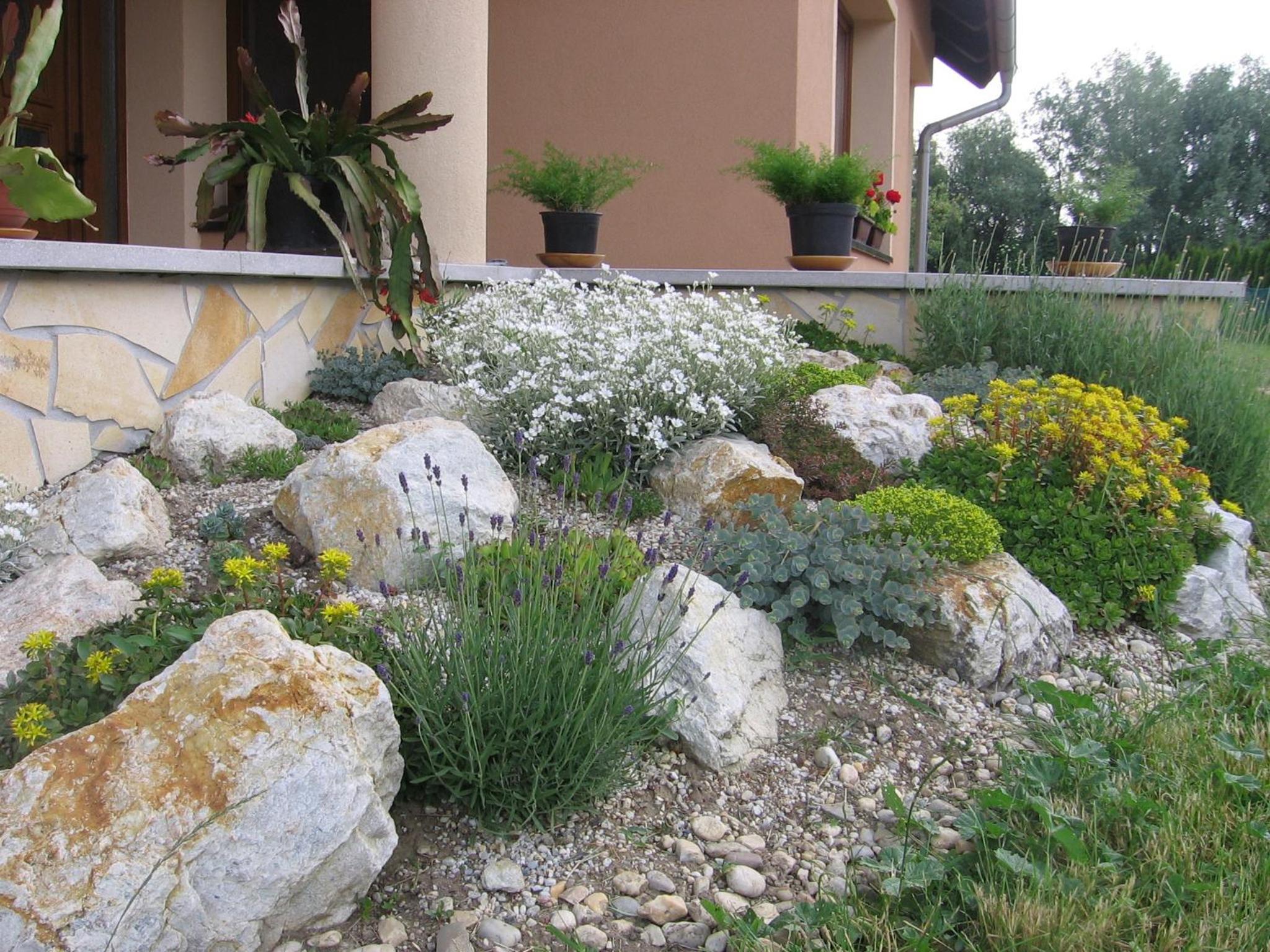 Photo 44