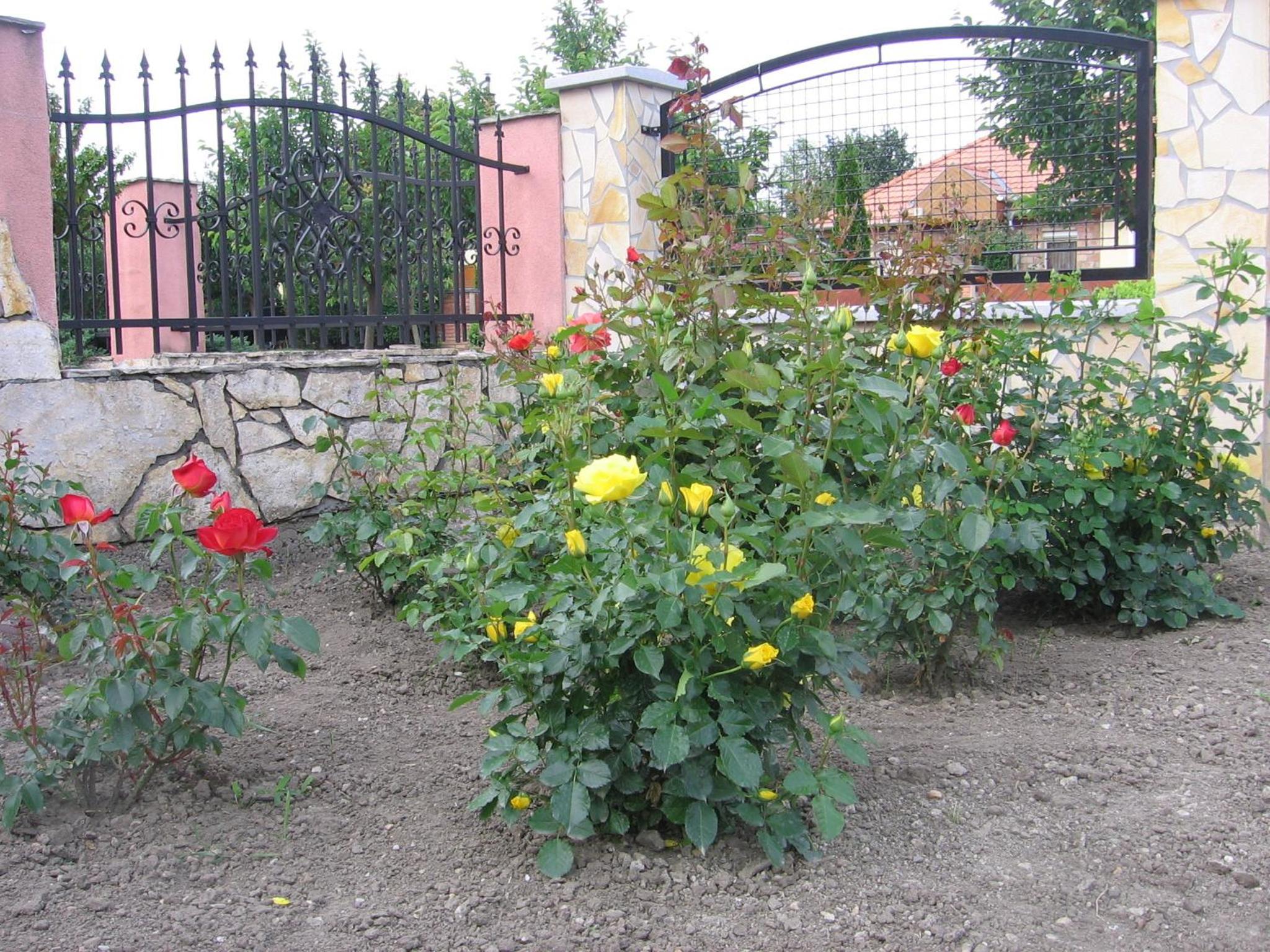 Photo 41