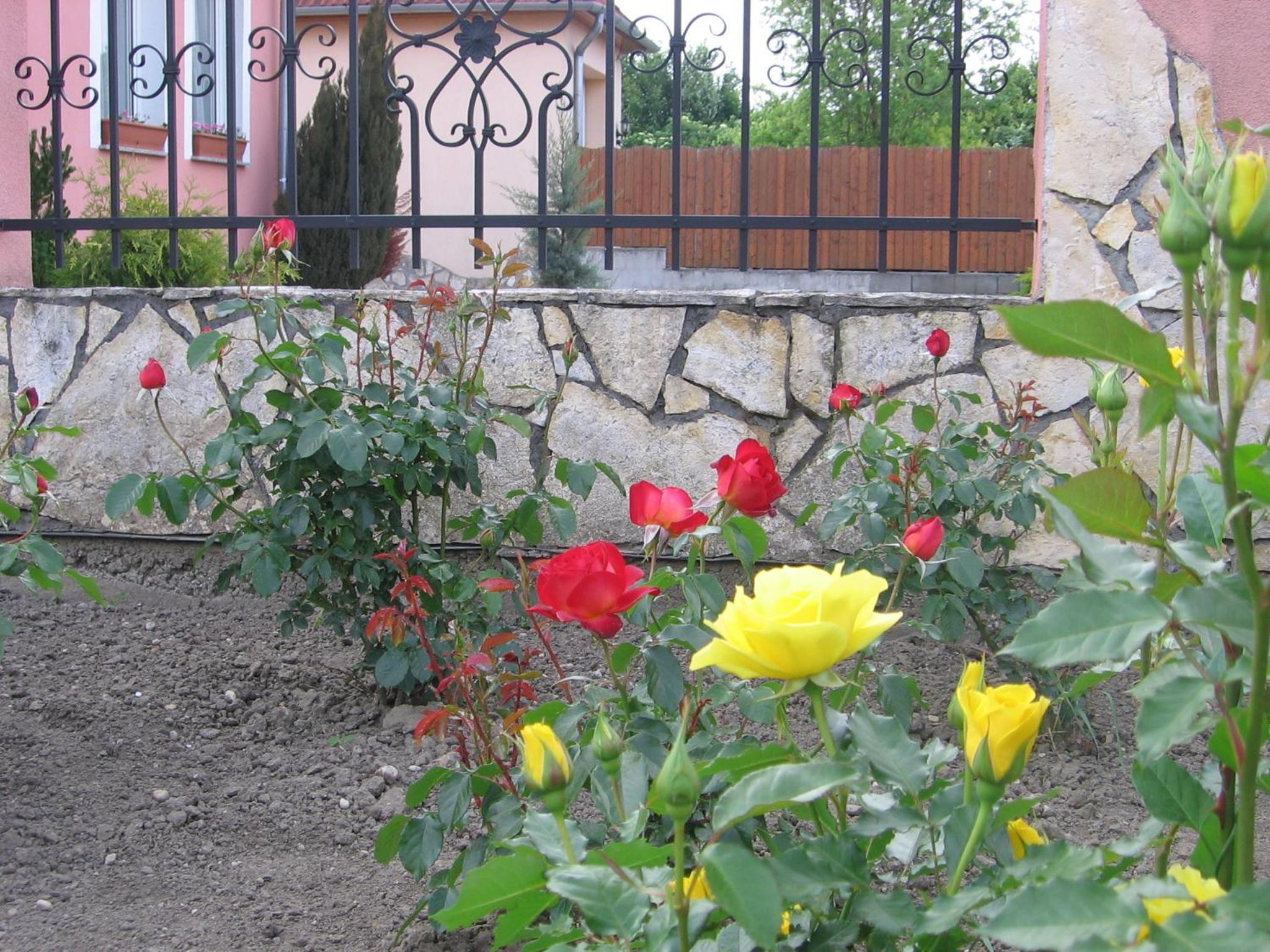 Photo 37