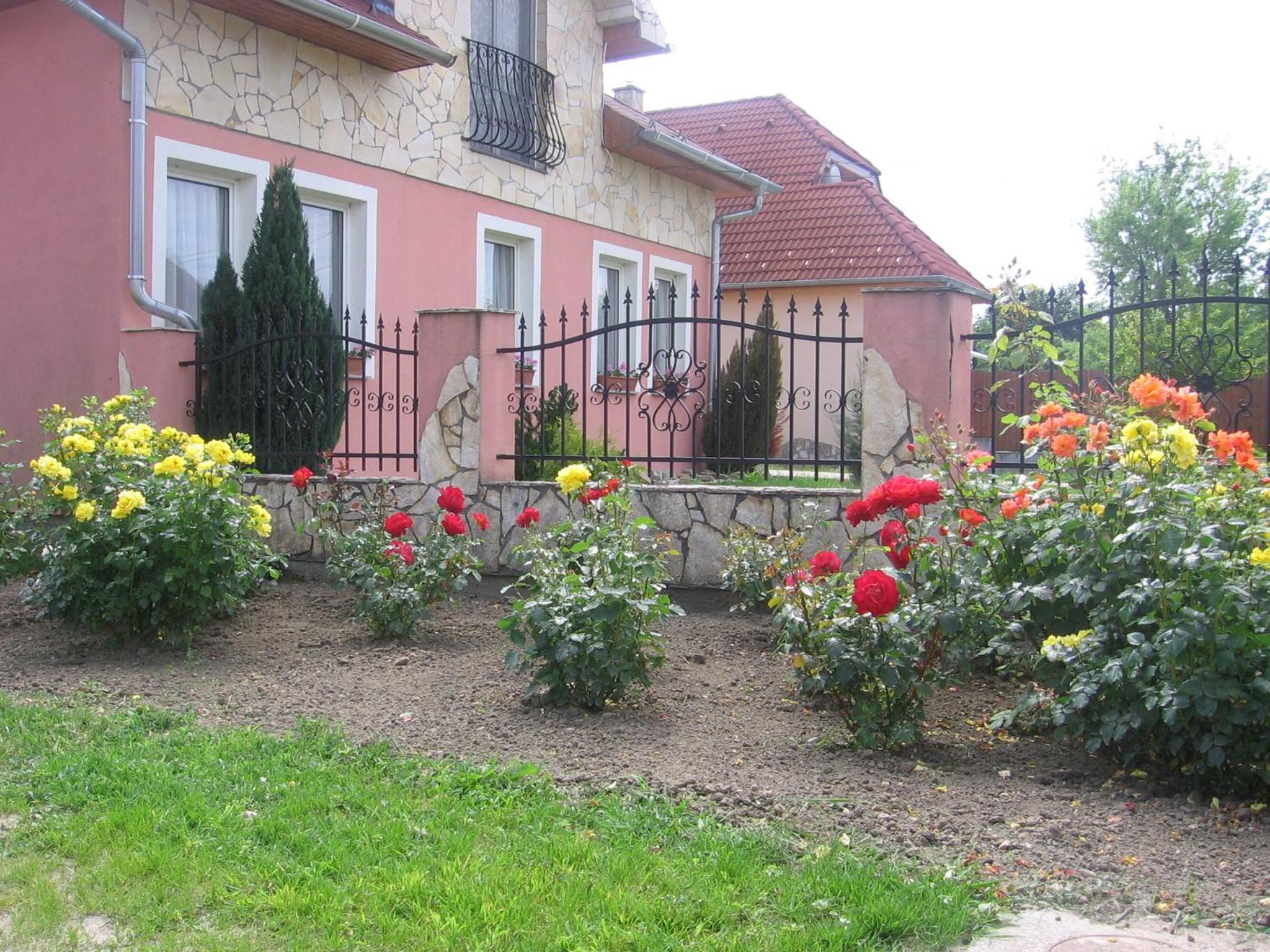 Photo 42