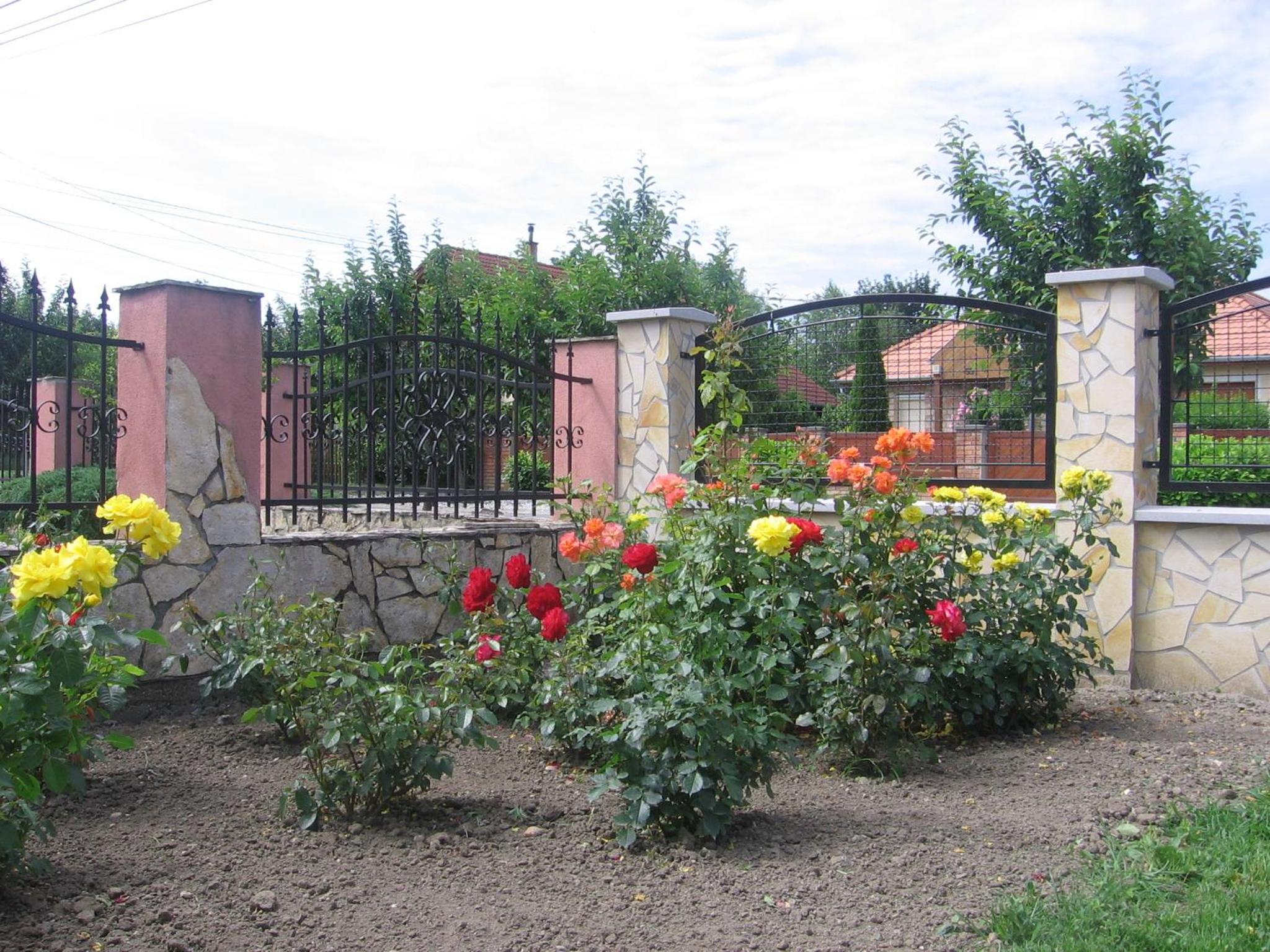 Photo 43