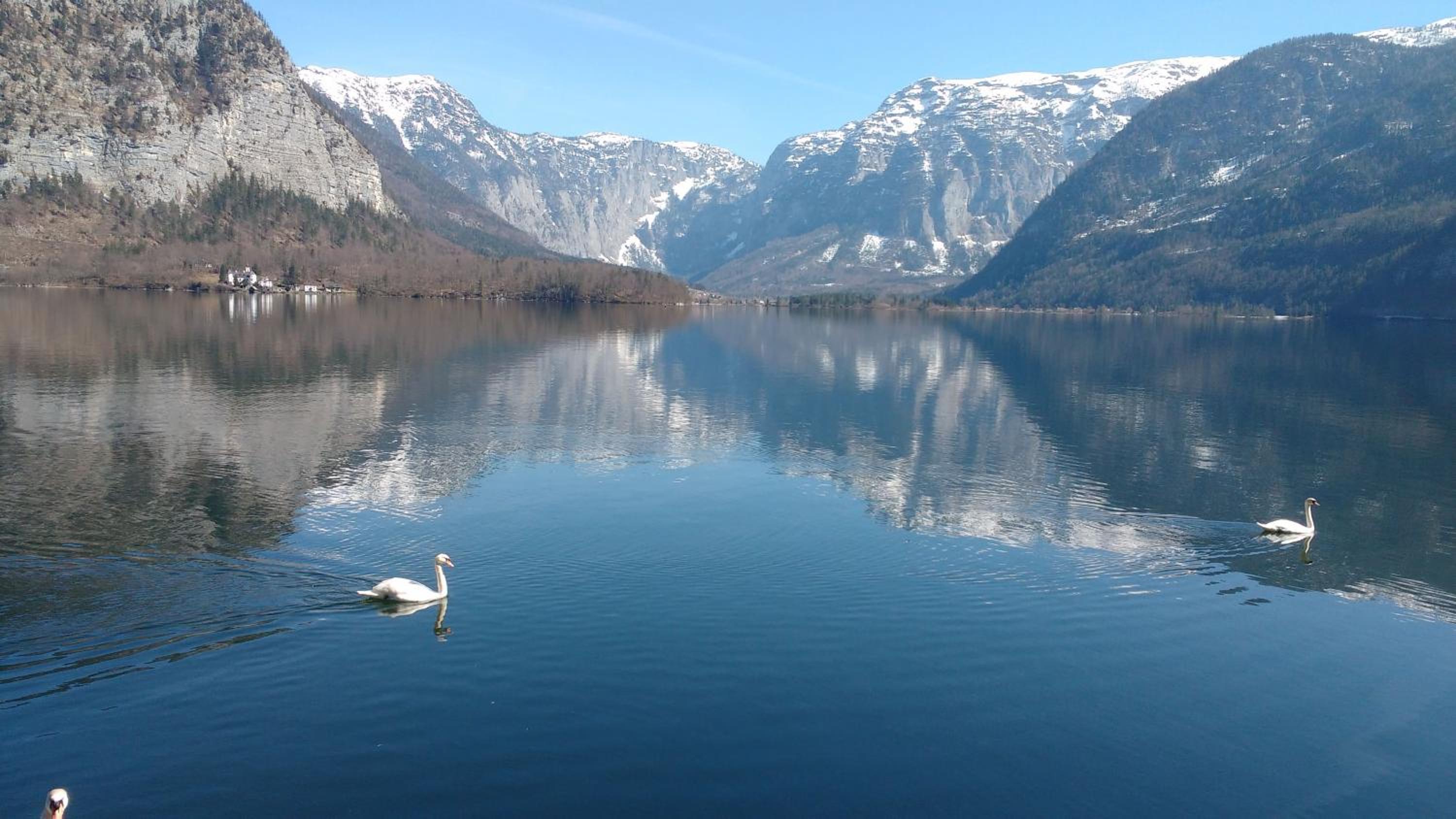 dachstein view