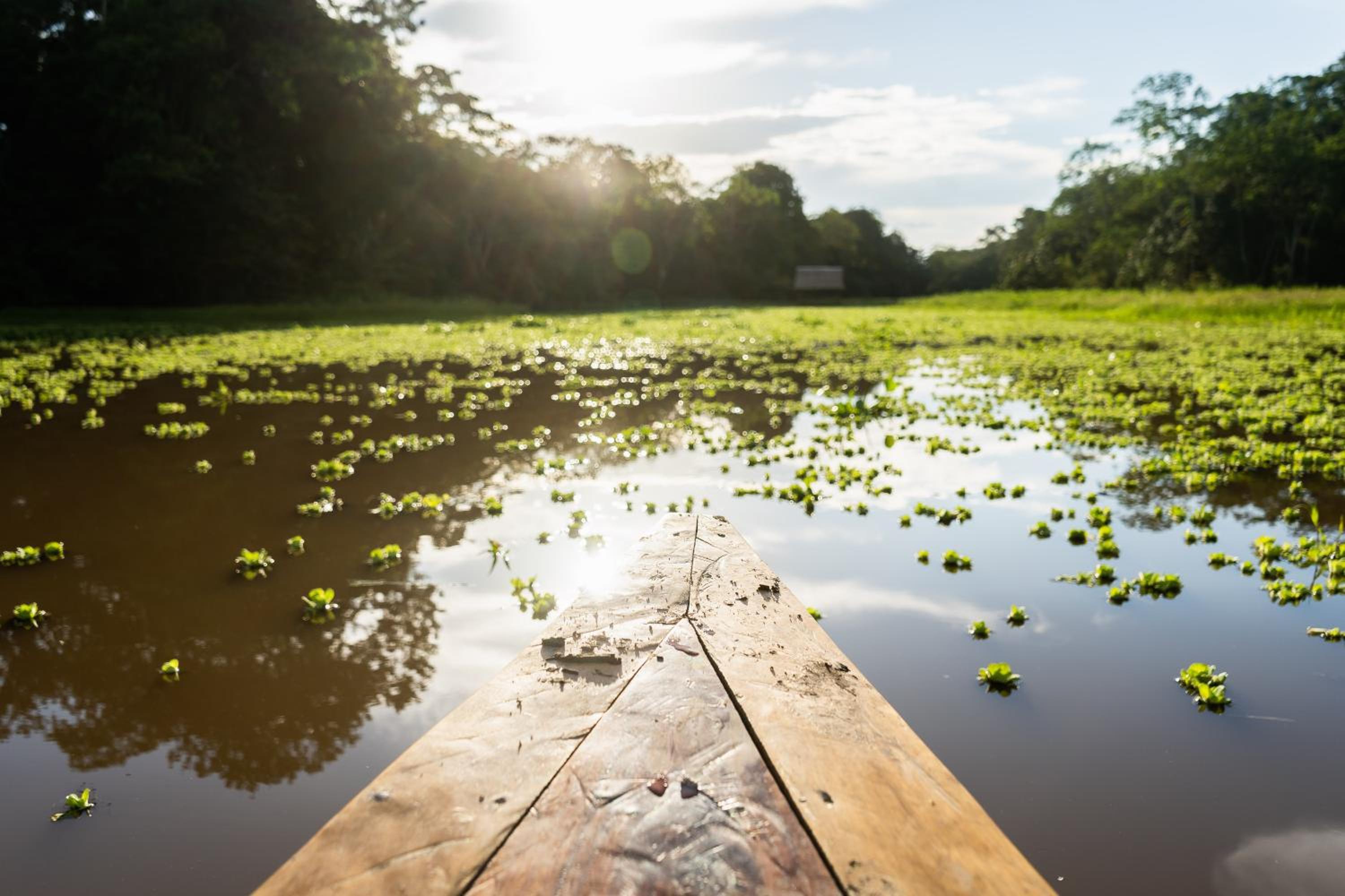 Ämak Iquitos Ecolodge - All Inclusive