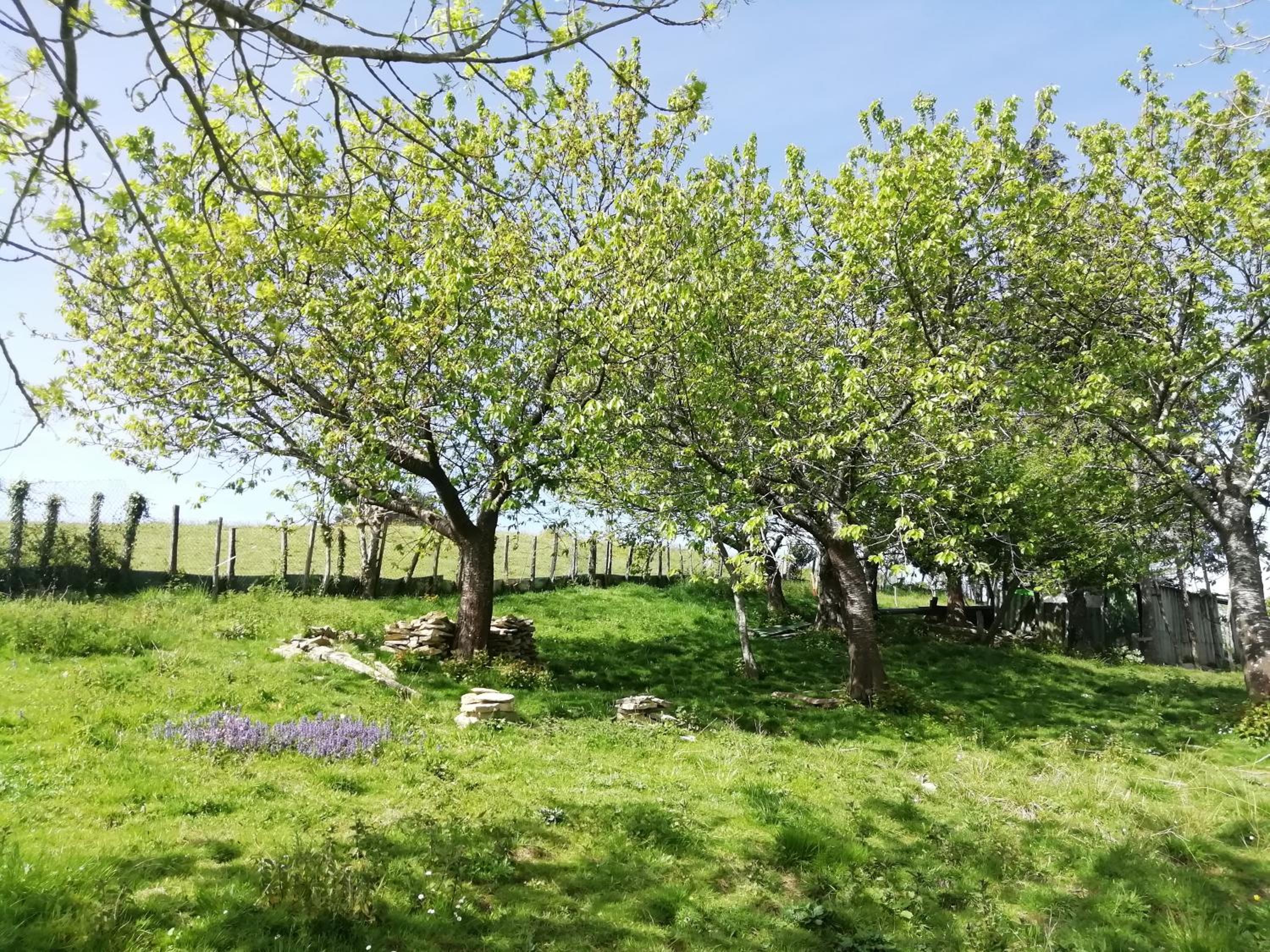 Agroturismo Pagoederraga