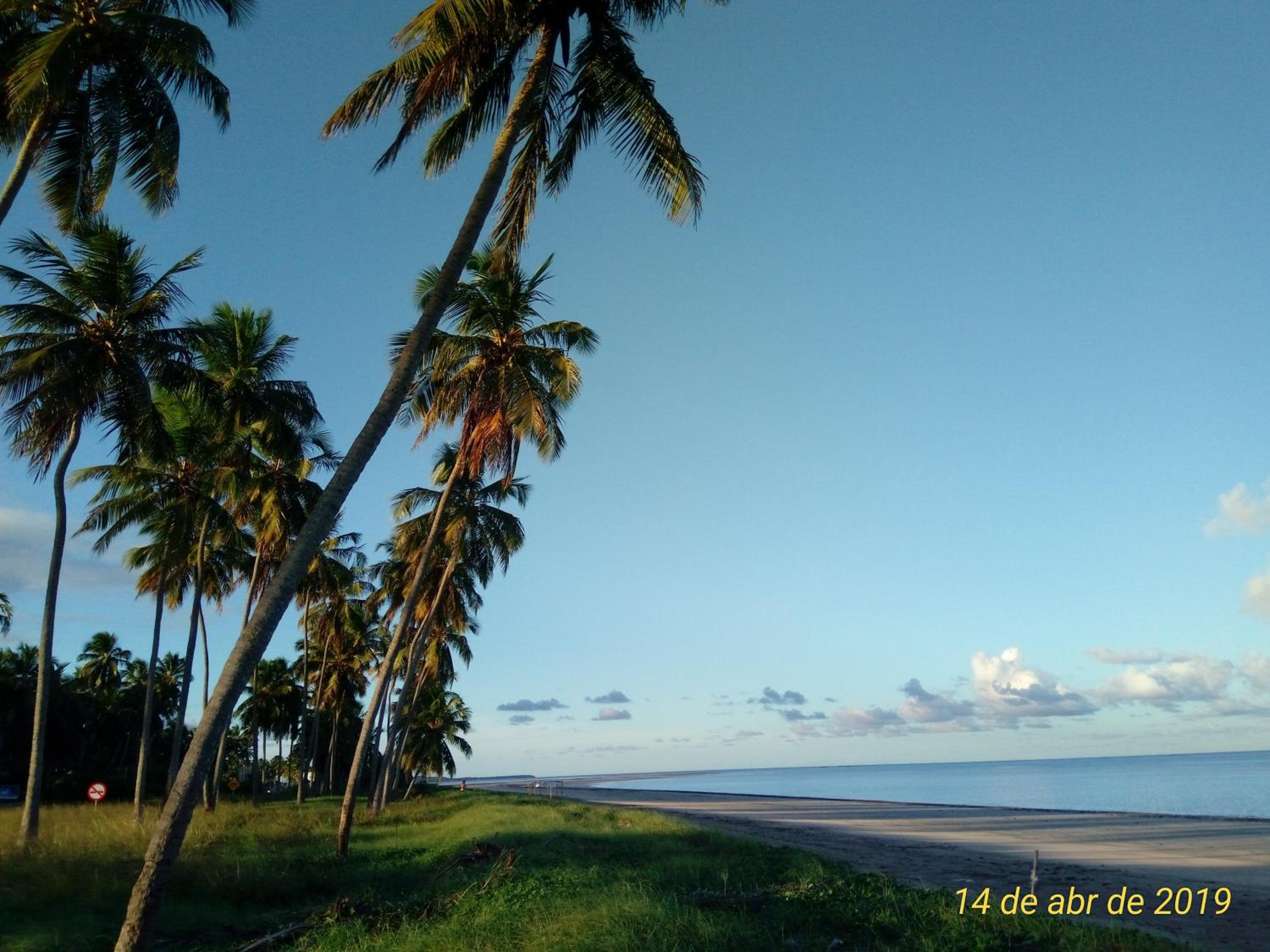 Flat Japaratinga Beach