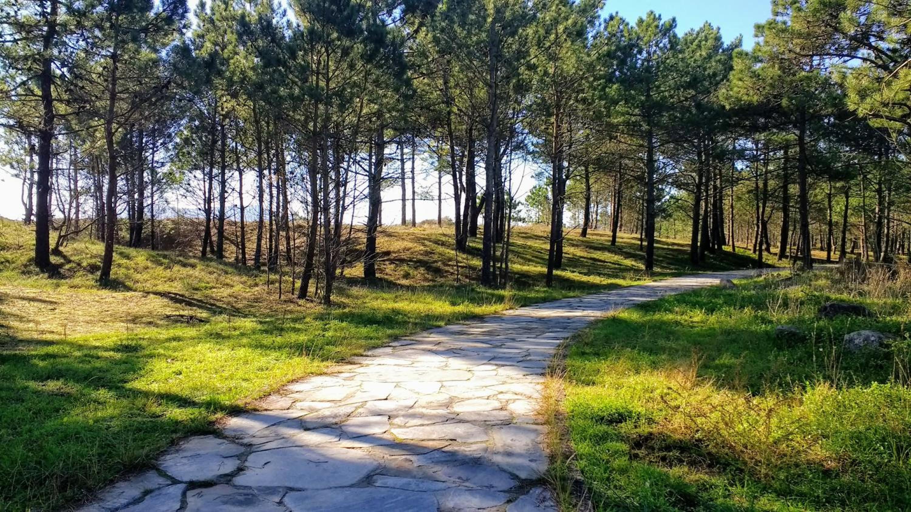Apartamento San Roque view 5