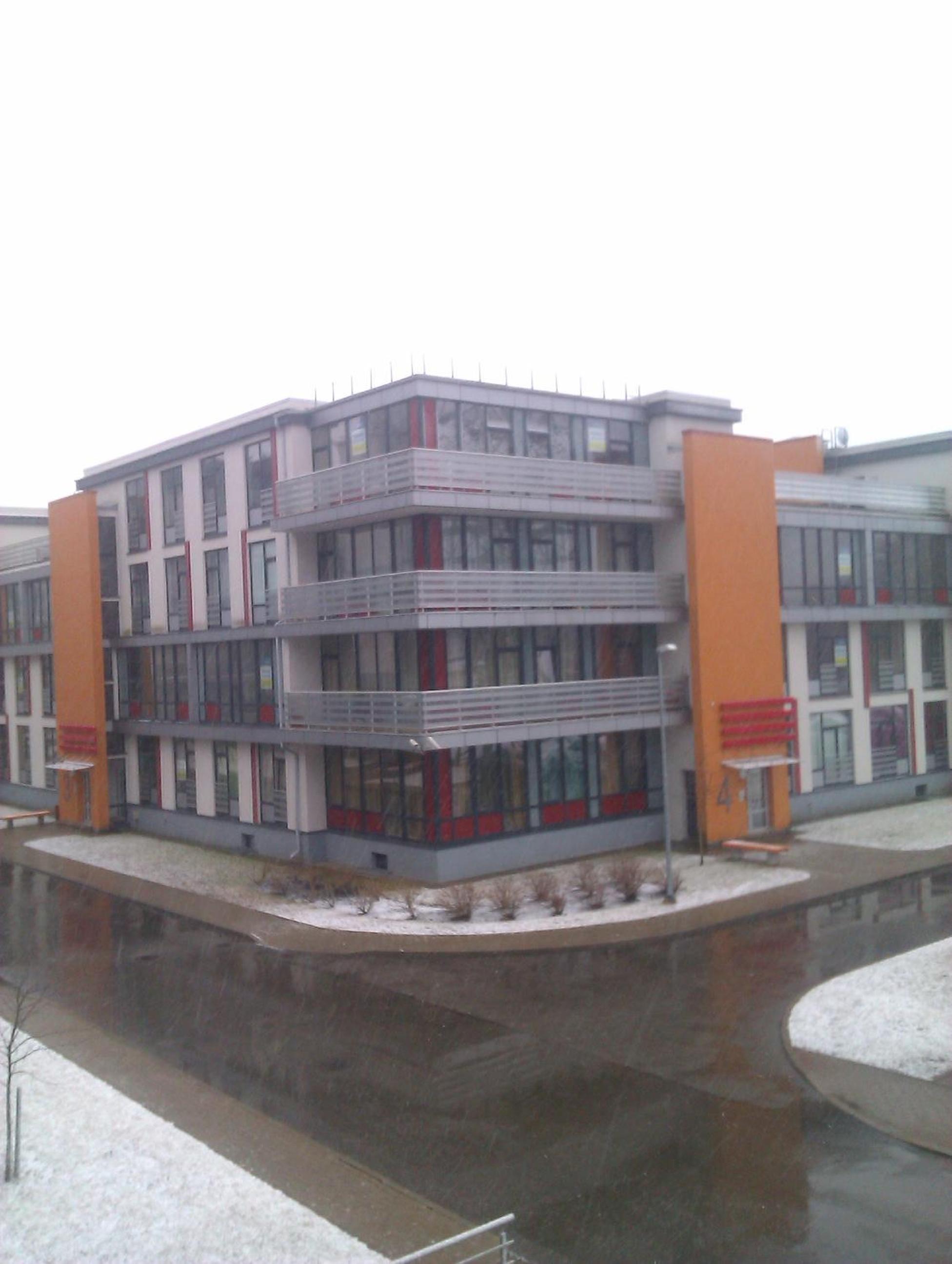 Photo 8